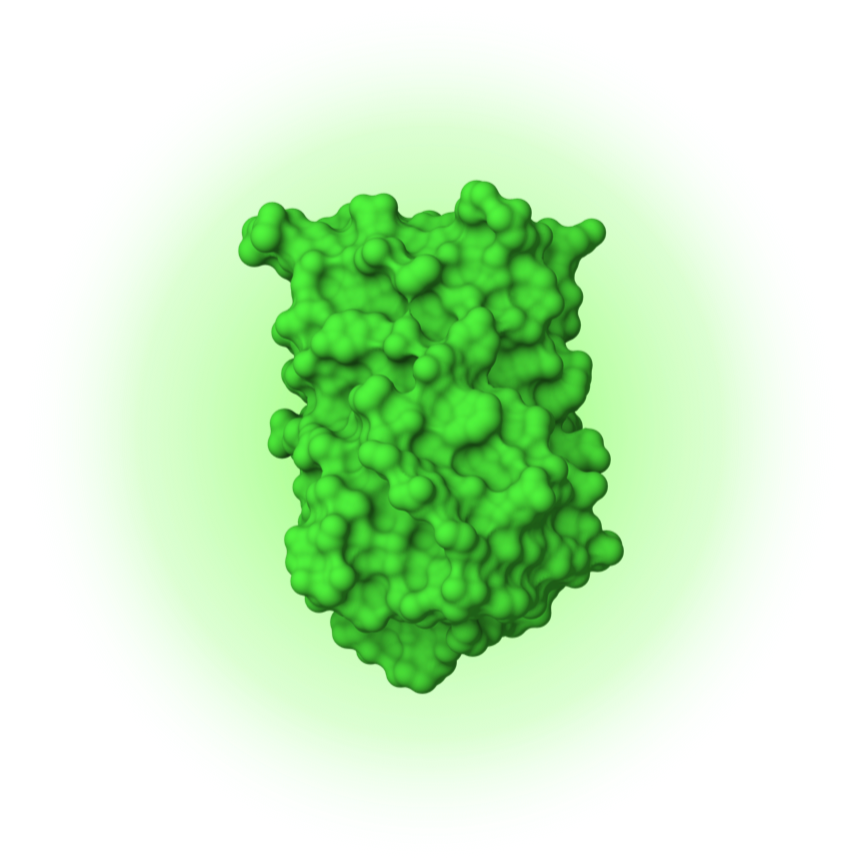 EverGreen™️ mRNA (6x BRIGHTER THAN EGFP)