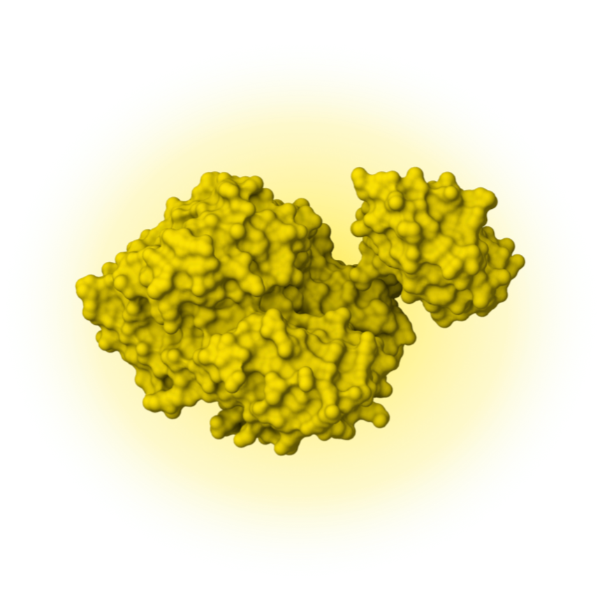 FLuc (Firefly Luciferase) mRNA