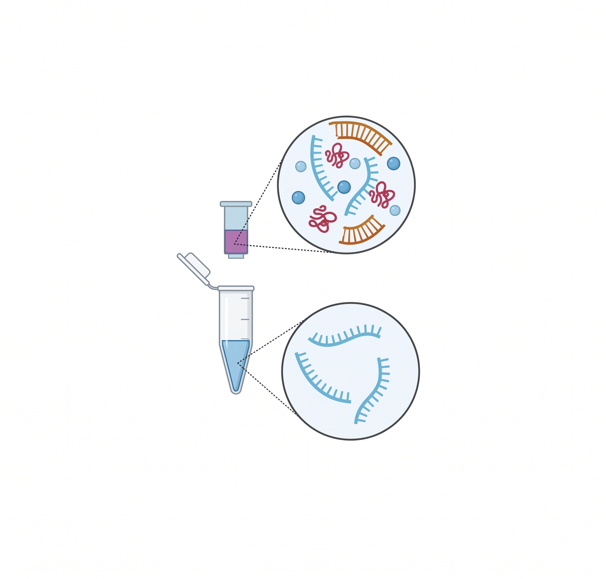 Embark™️ mRNA Purification Kit (removes dsRNA)