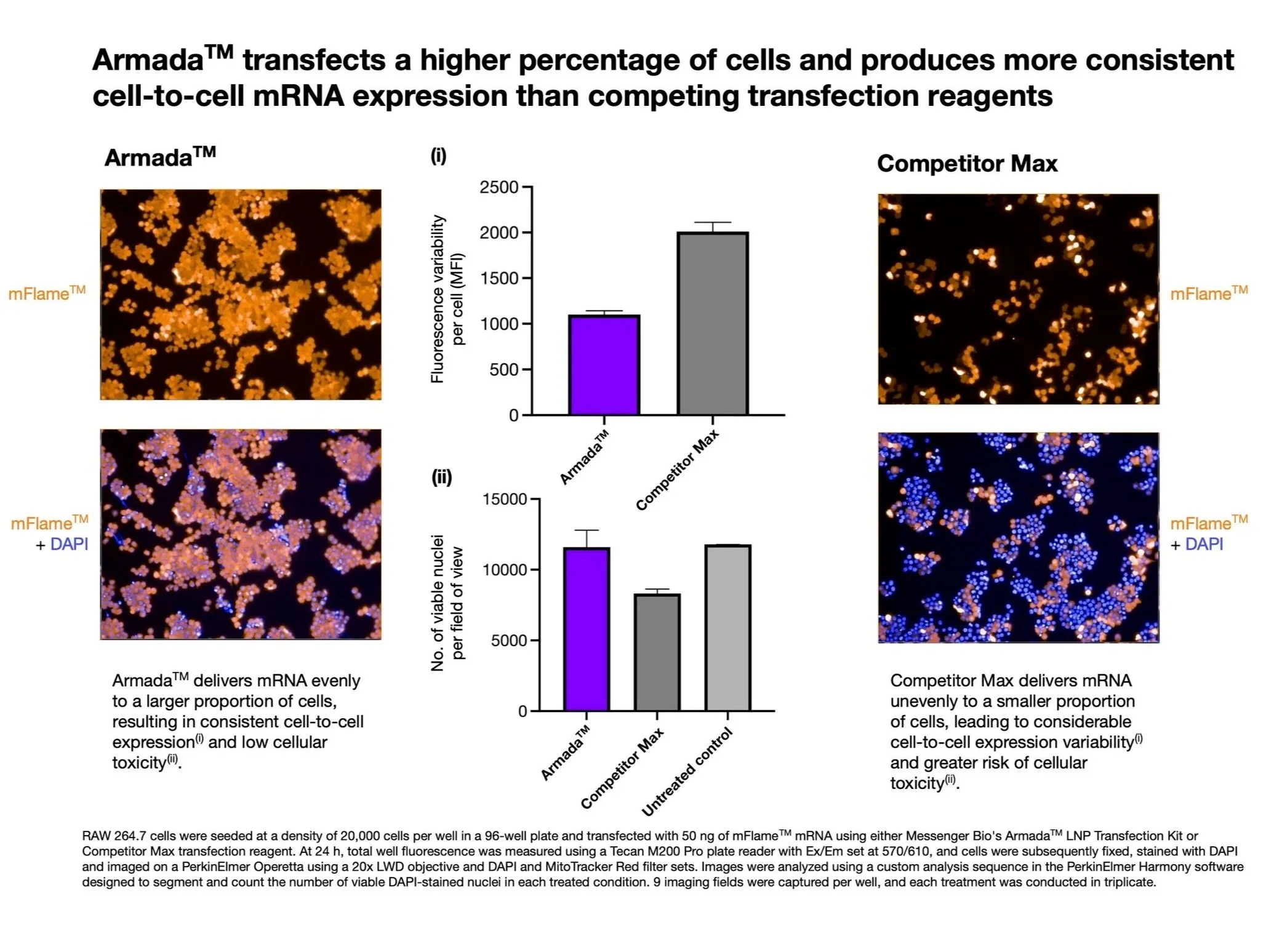 Armada+mRNA+transfection+efficiency+4-3.jpg