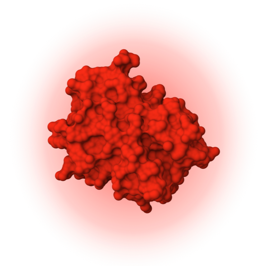 %E2%80%8EmRNA+Product+images.%E2%80%8E007.png