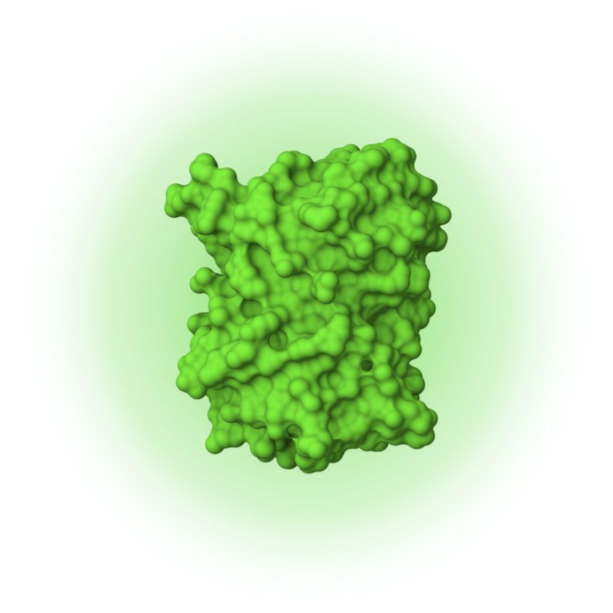 EGFP mRNA