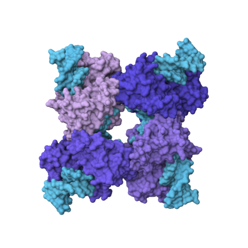 Cre Recombinase mRNA