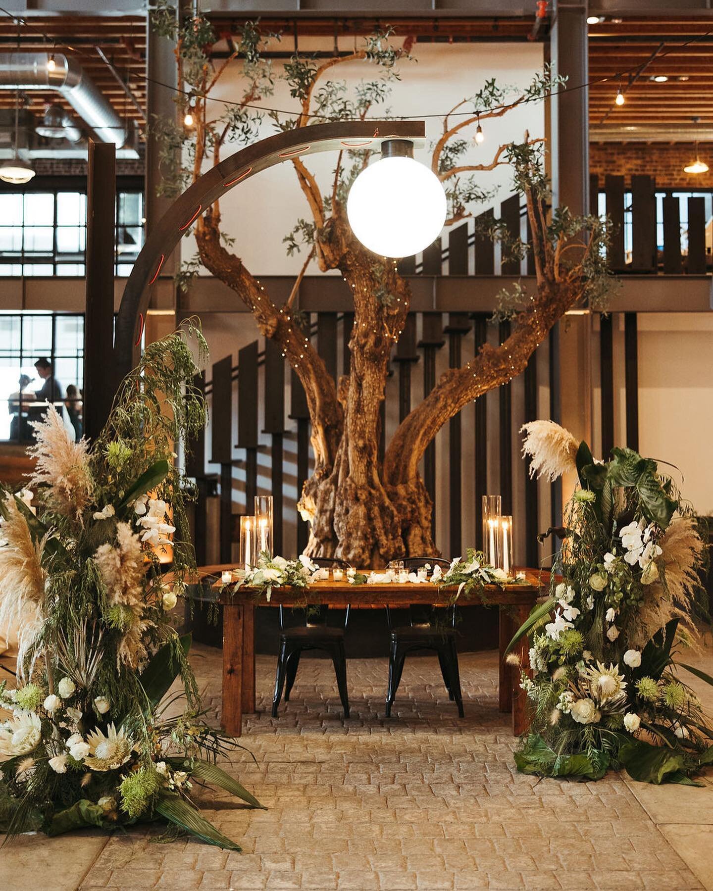 When you have trees in your venue and your florist does plants instead of flowers! Wow! ✨✨✨🌿🌿🌿 

Such a gorgeous wedding and couple! Congratulations JoAnn and James! 🥂

Venue | Venue 808 
Planner | @huiecoevents 
Photography | @erichchen 
Video |