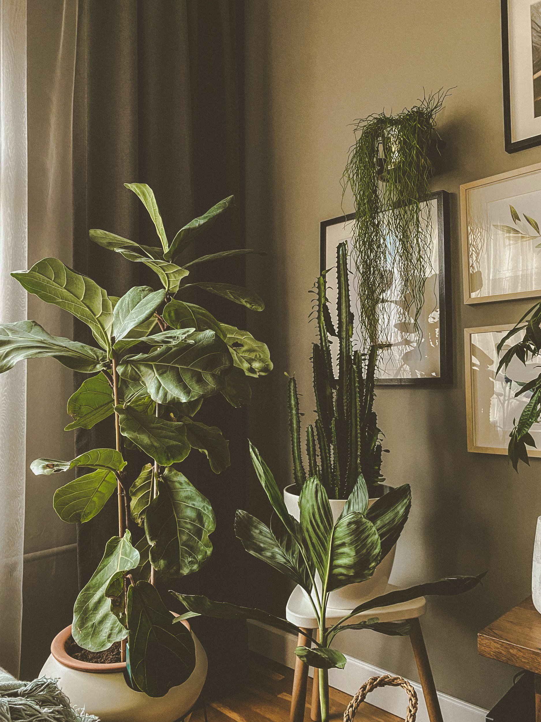 The Power of Fresh: How Spring Staging Wakes a Home Up