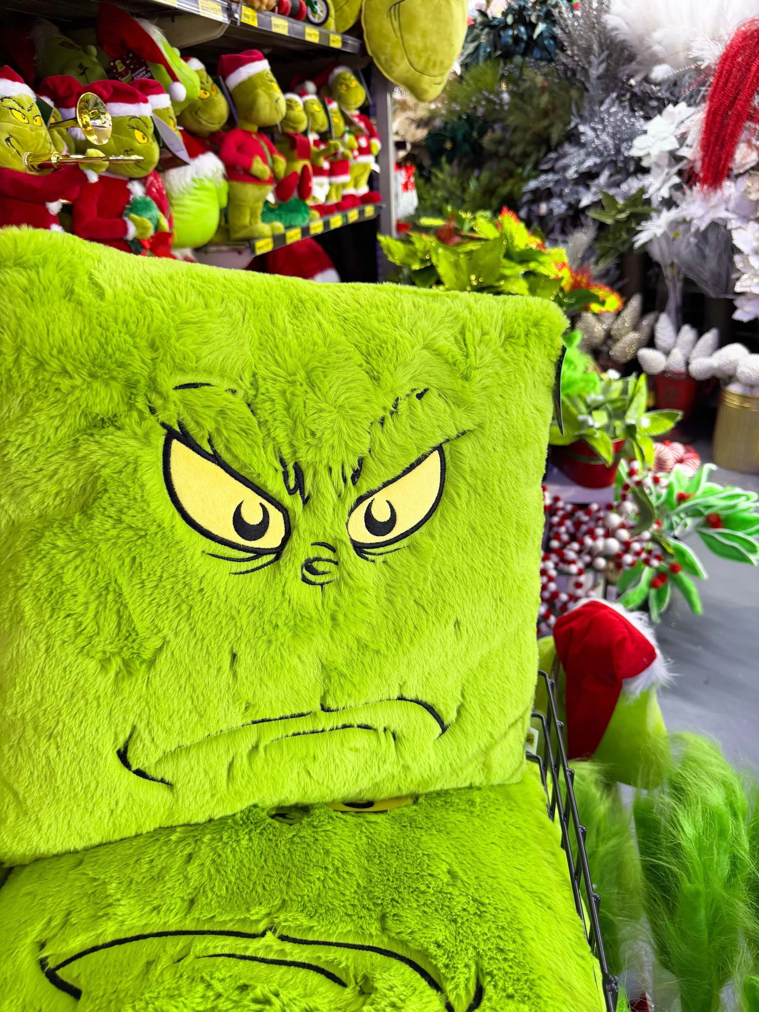 2025_CHRISTMAS_GRINCH-1031.jpg