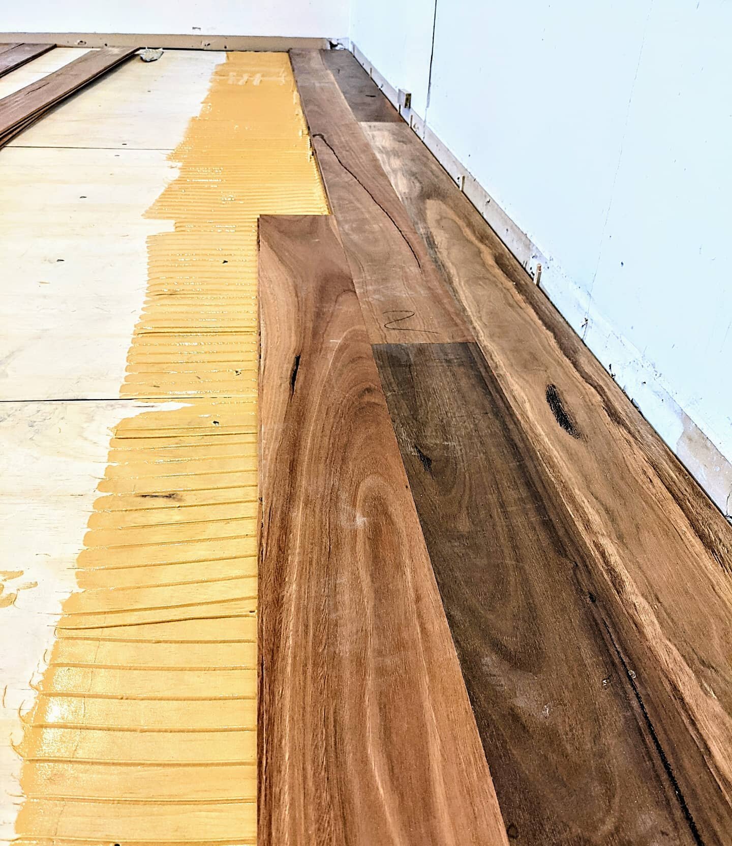 This is beautiful Queensland Spotted Gum, install begins today and will be stunning on completion.  #timberoo_flooring_specialist #timberflooringsunshinecoast #timberflooringshowroom #floorinstaller #qldspottedgum #hurfordwholesale #renovation
