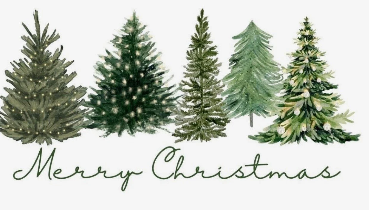 For the holidays we are currently away from the office Monday 22nd December until Tuesday 13th January.

Wishing you all a Merry Christmas &amp; we look forward to seeing you in 2026.

The Timberoo Team !