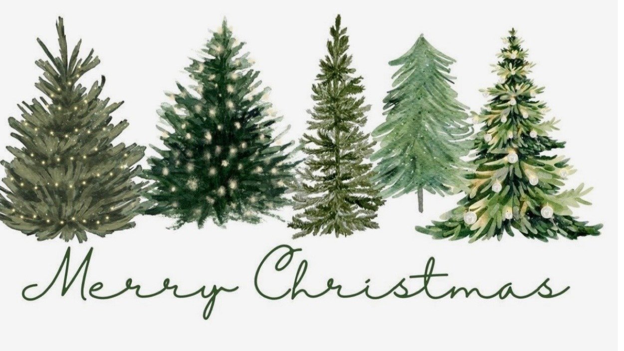 For the holidays we are currently away from the office Monday 22nd December until Tuesday 13th January.

Wishing you all a Merry Christmas &amp; we look forward to seeing you in 2026.

The Timberoo Team !