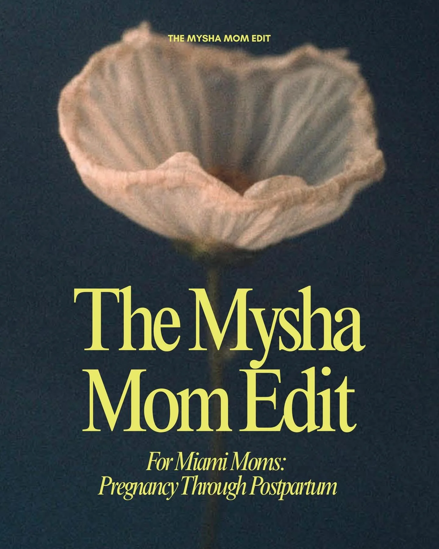 The Mysha Mom Edit: Miami &mdash; for the pregnant and postpartum mom.

Prenatal classes, pelvic floor therapy, wellness practitioners, massage, and more &mdash; a few of our trusted Miami recommendations for this season of motherhood.

Curated lists