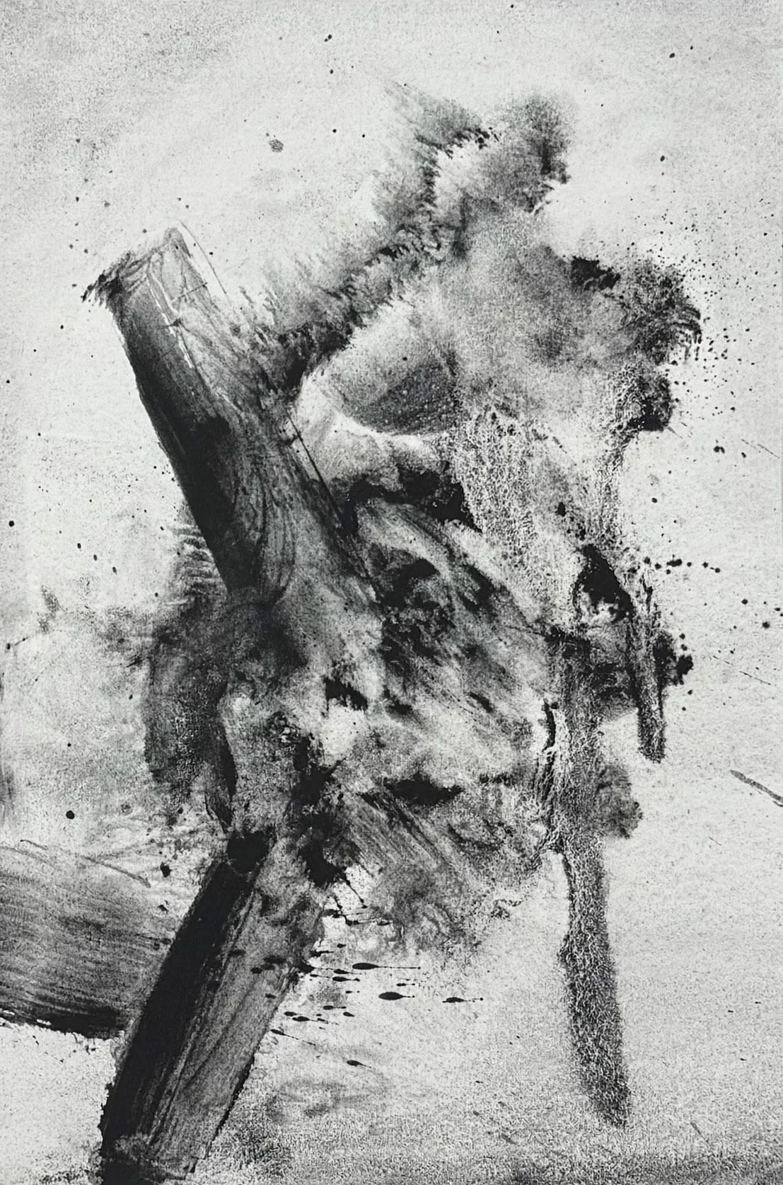 Chimera #2 by Amadeo Vibat