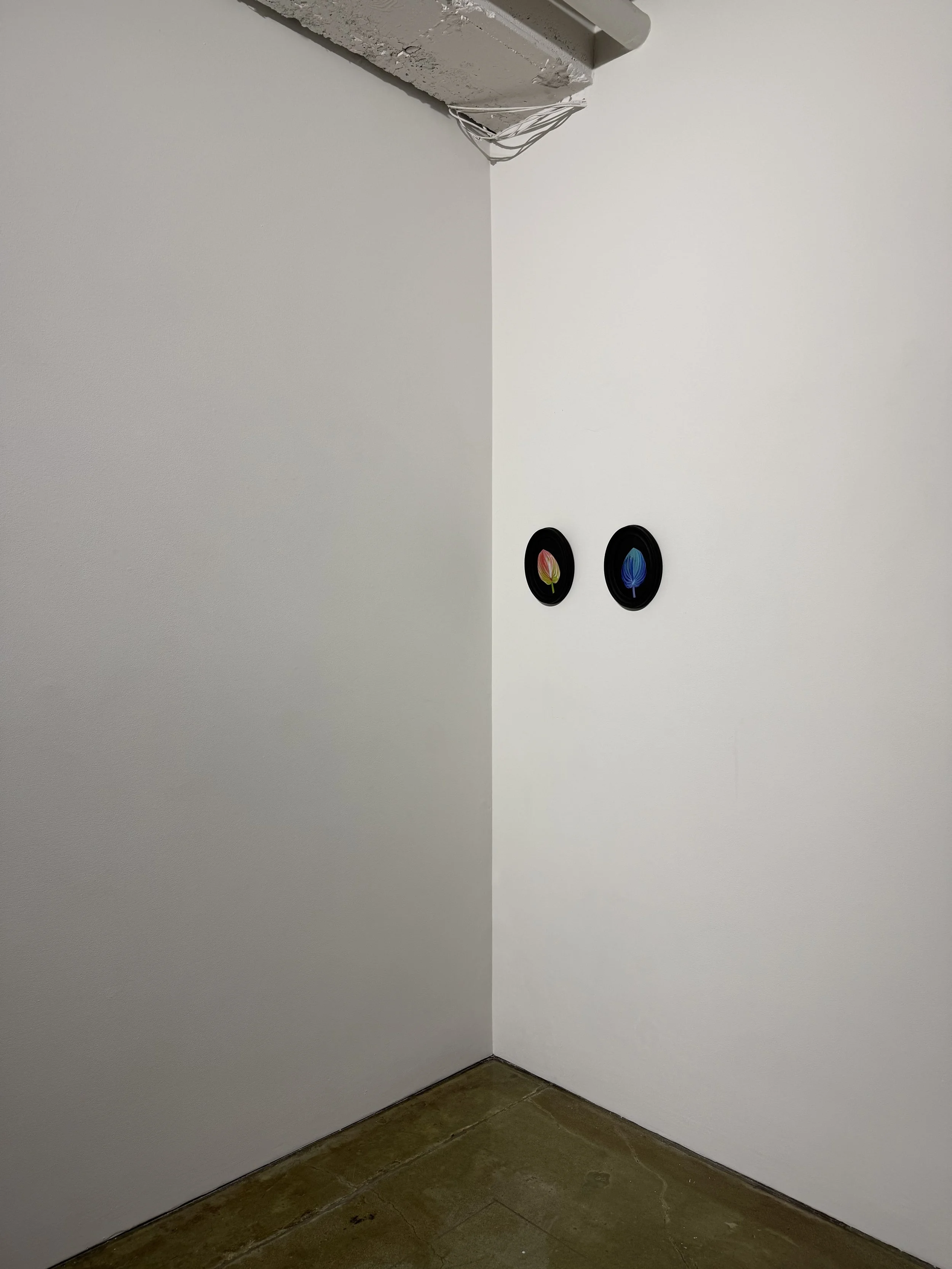IMG_5295.jpeg