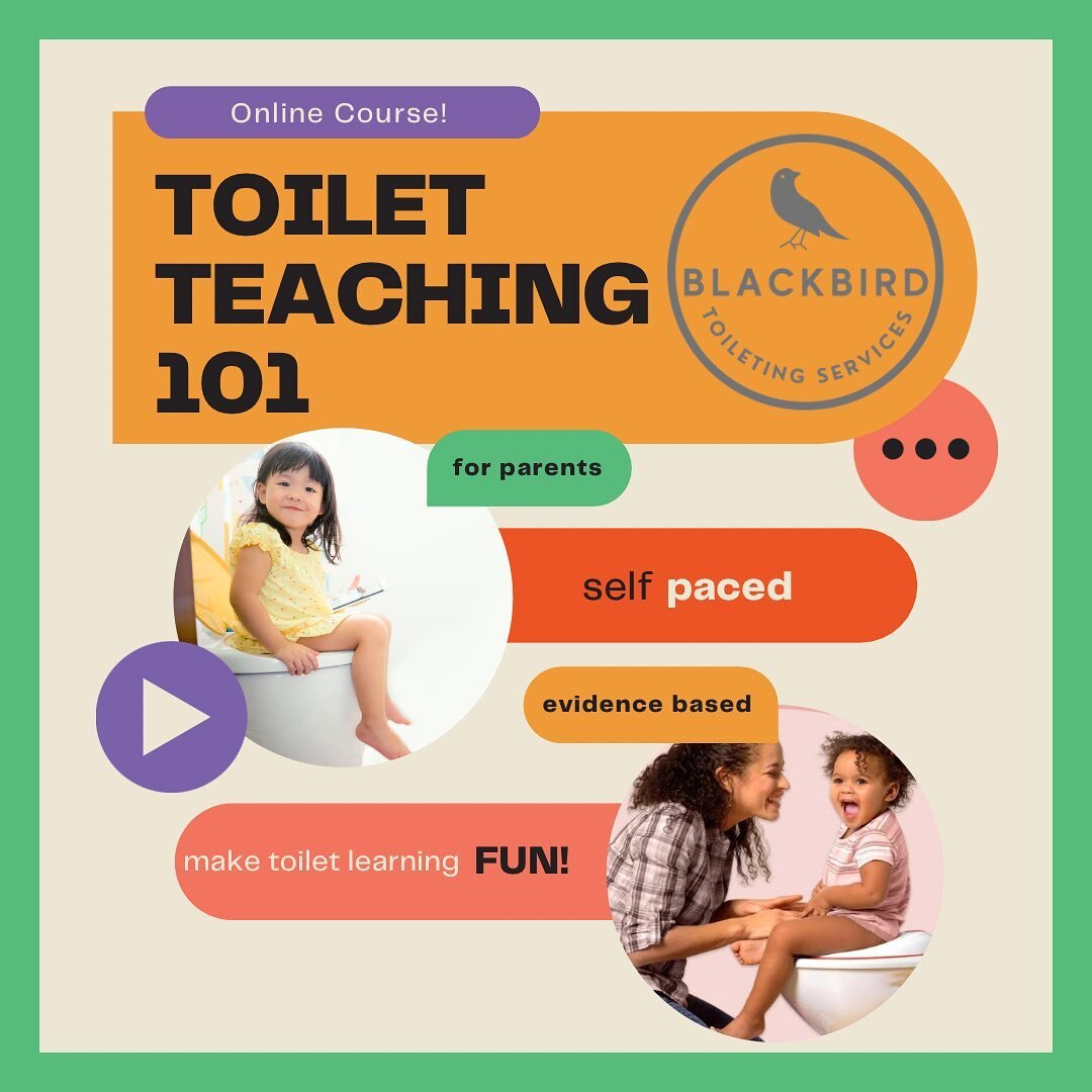 Hey, did you know we have a comprehensive toilet teaching course online?! 🎉 

People like it! It&rsquo;s fun, easy to understand, gives lots of examples, a super-specific roadmap to follow, and troubleshooting advice.

Link in bio! 👀 
.
.
.
.
.
.
.