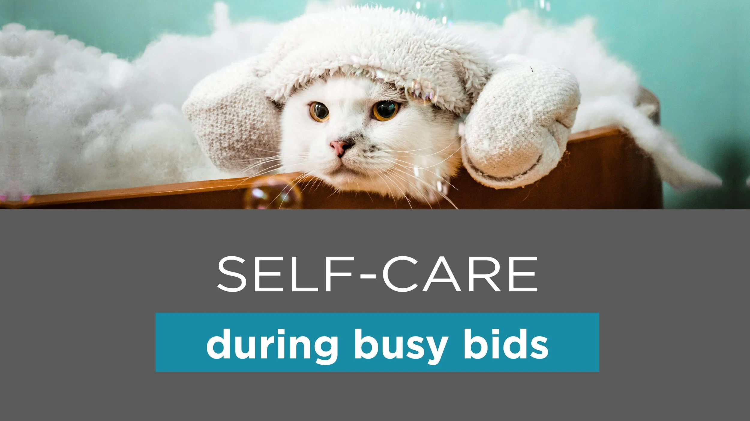 Self-care during busy bids
