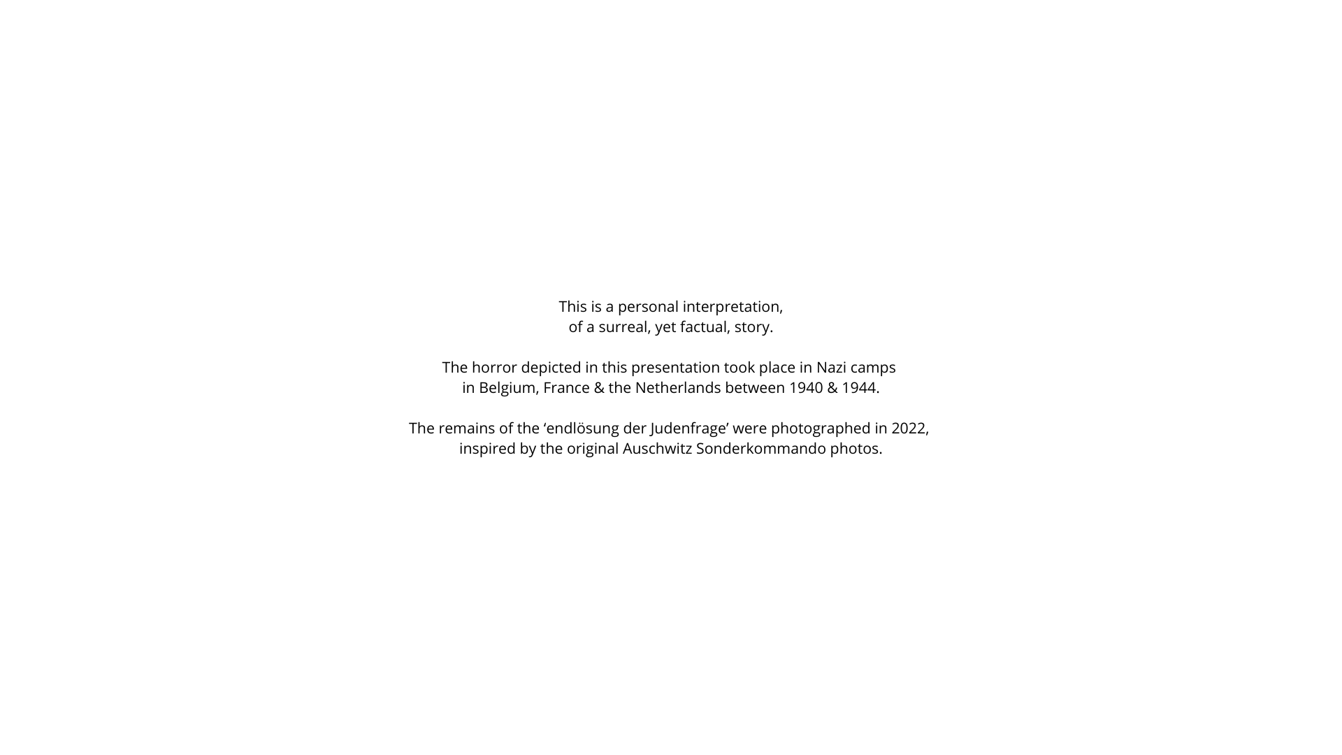 Holocaust Impressions.png