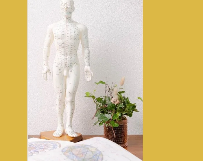 Eine Figur mit TCM-Meridianpunkten steht neben einer Pflanze, dazu ein Buch aufgeklappt.