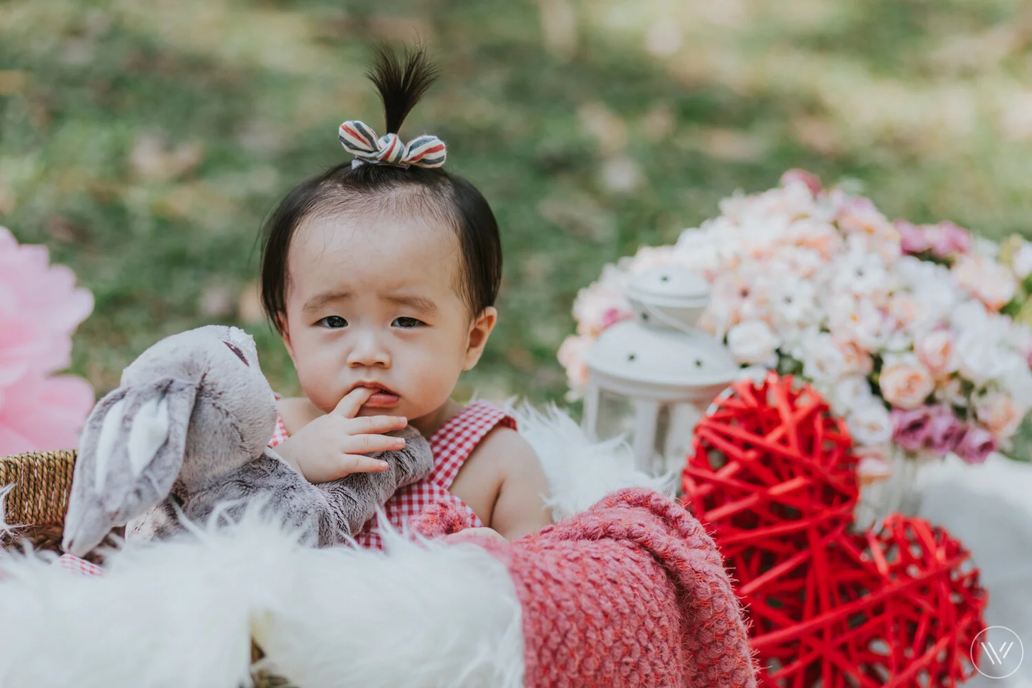 Tang Tang Family Portraits