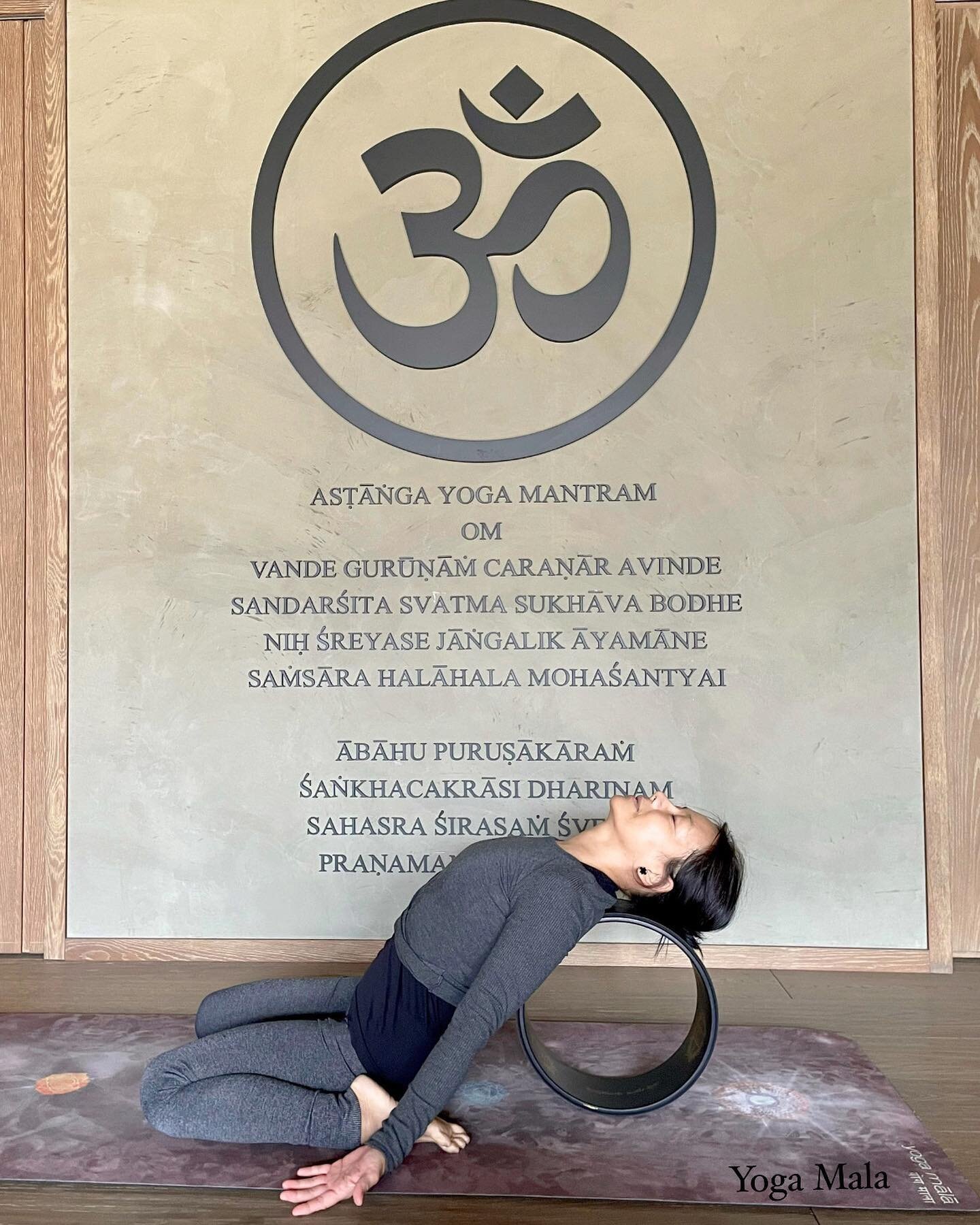 Coming in March!
Open and Release: Yoga on Wheel Workshop With Lily 

Date: March 18 (Sat)
Time: 10:30 AM - 12 PM
Fee: $300
WhatsApp: 5941 0336

Lengthen your spine, open your hips, release your shoulders and neck safely
with the support of the Yoga 