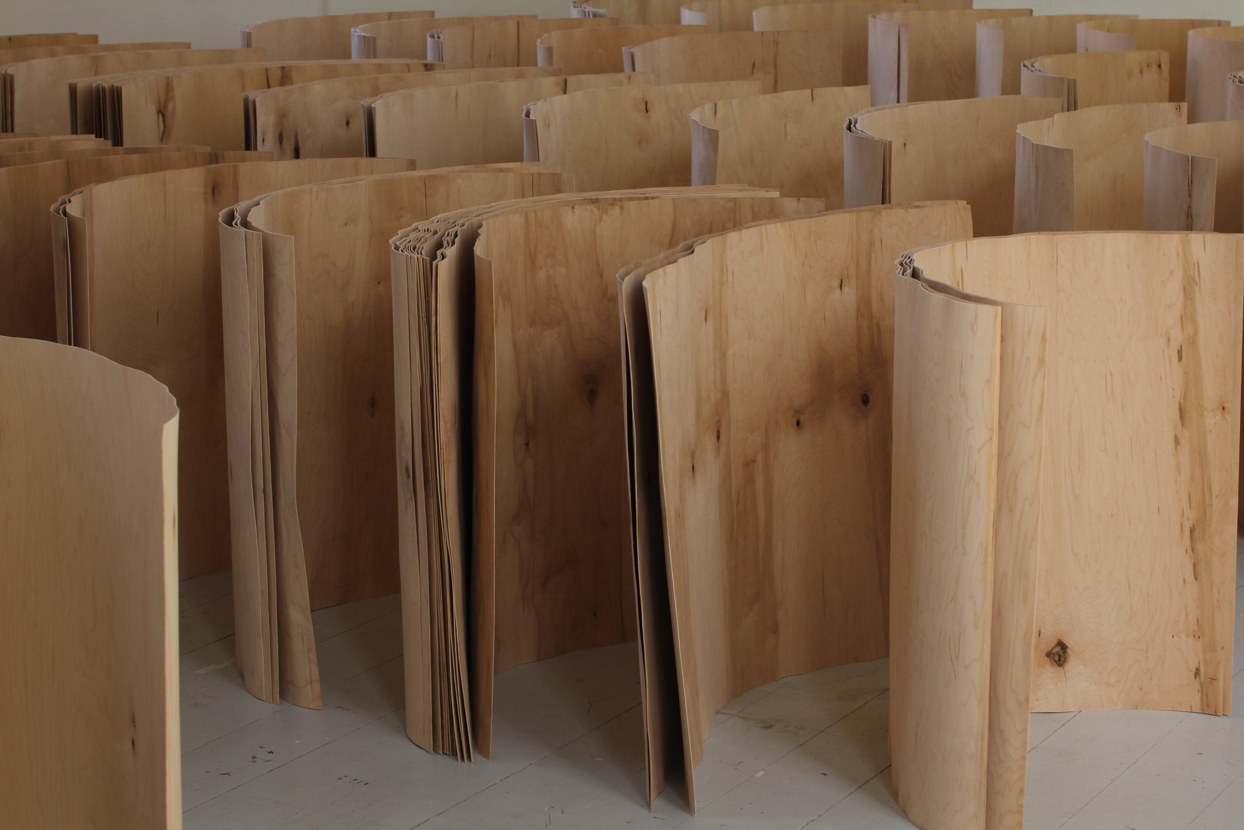 Opening: Up Worlds Down Words by Caleb Witvoet