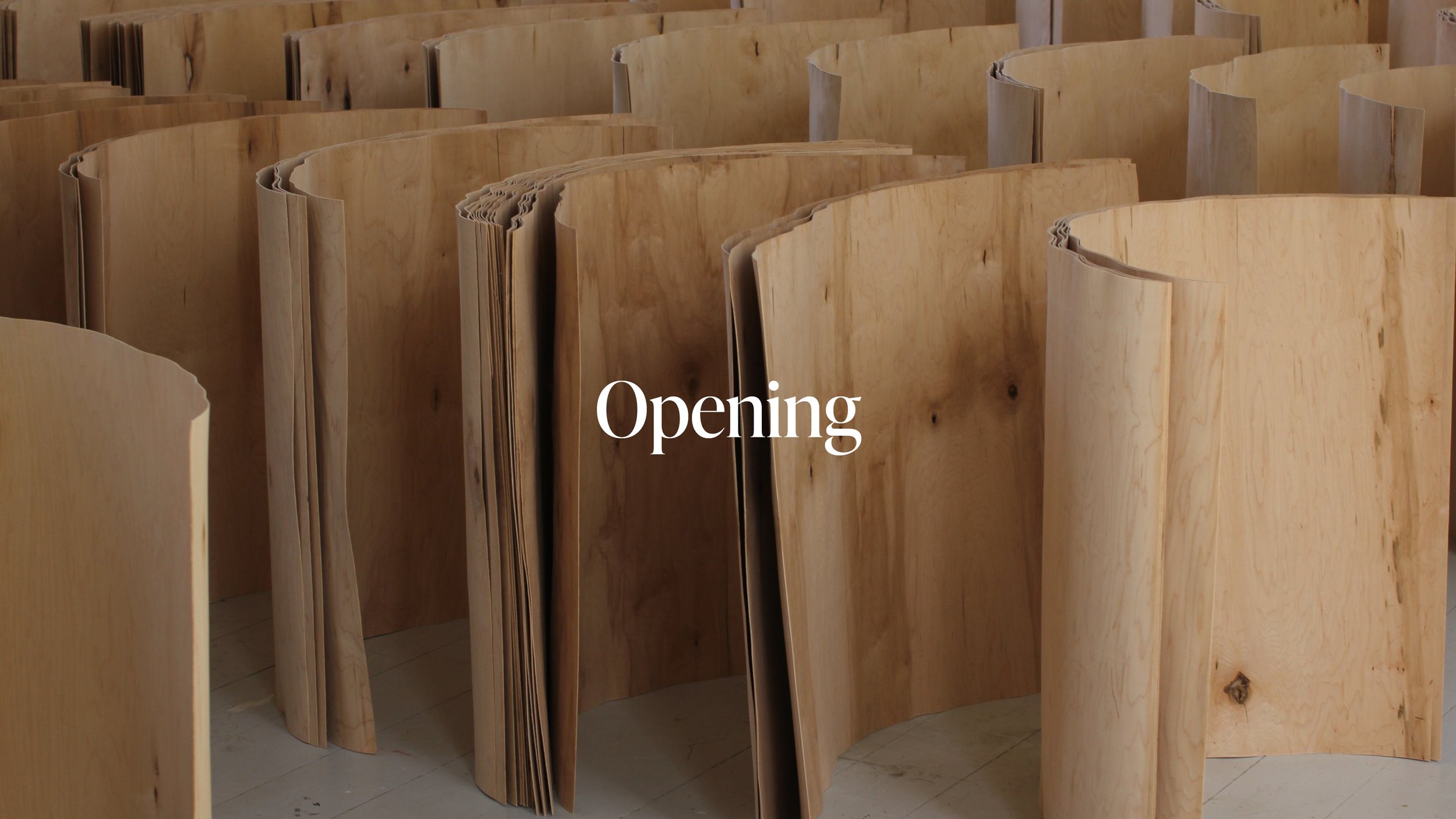 Opening: Up Worlds Down Words door Caleb Witvoet