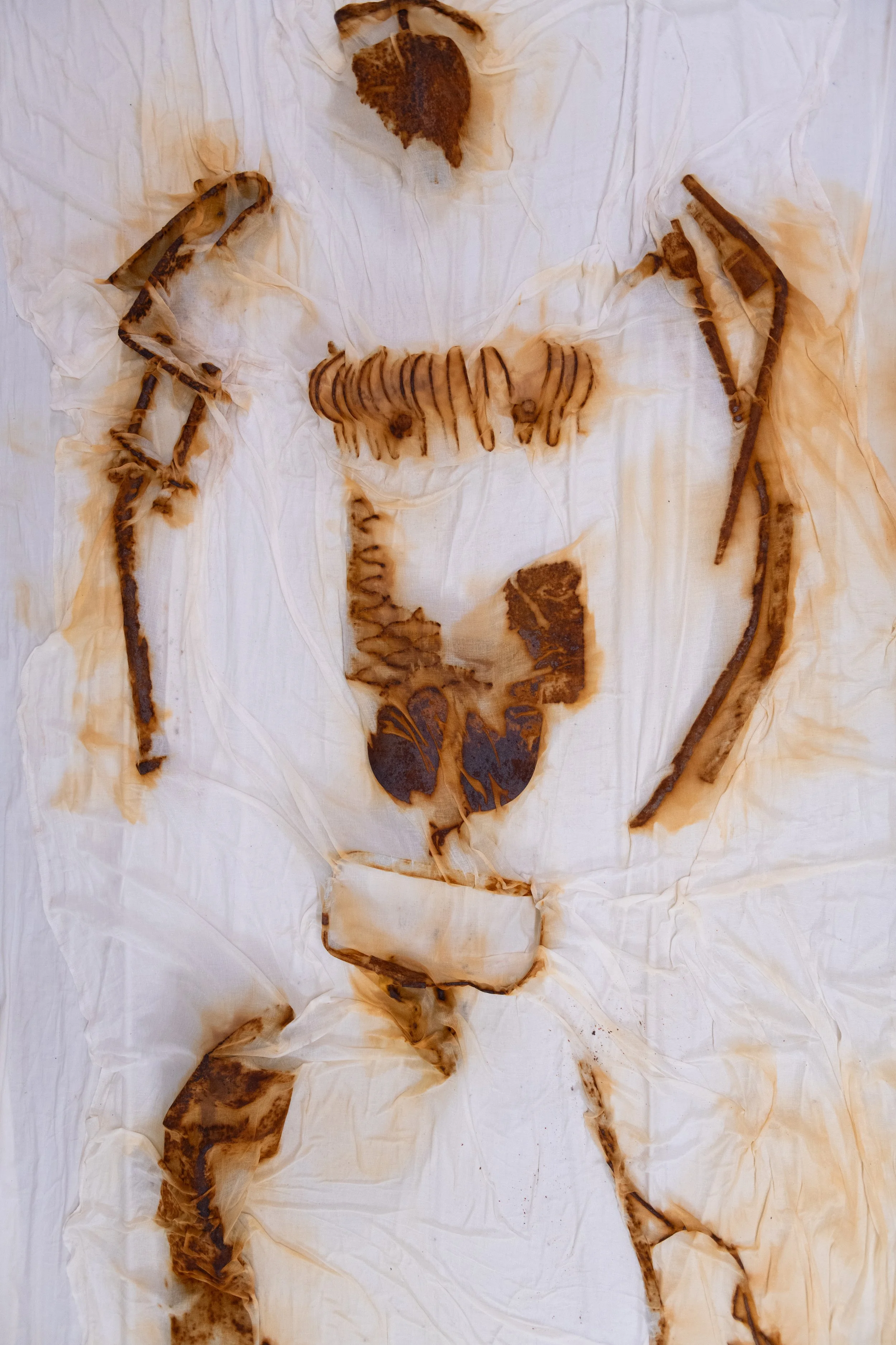 Meet &amp; Greet #2 Dagmar Bosma