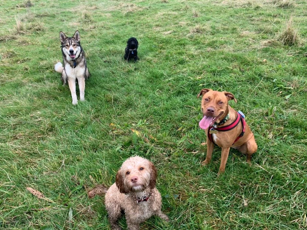 group photo.jpg