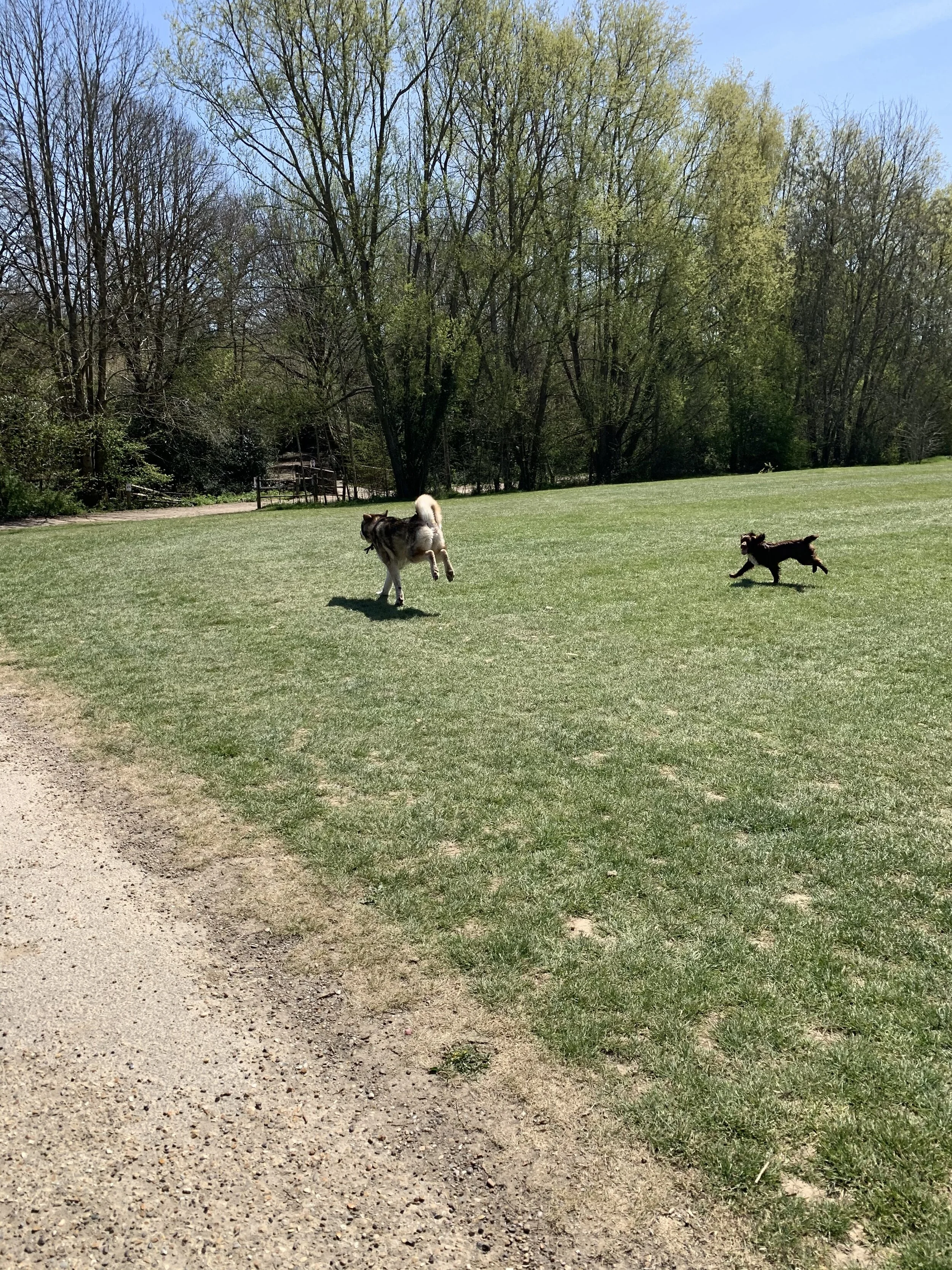 IMG_4657.jpg