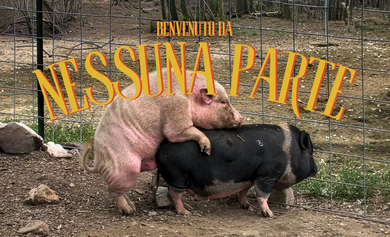 Qui Radio Maria non prende