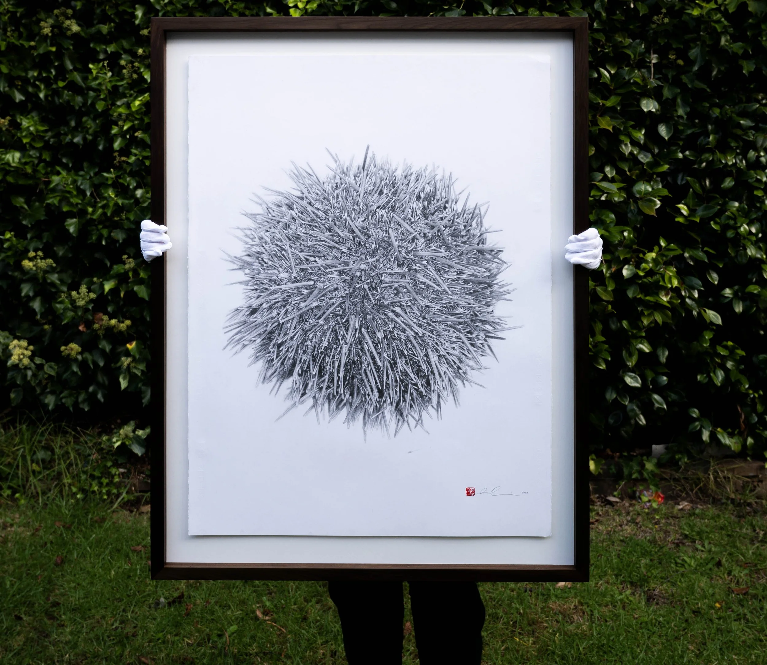 graphite drawings — Tim Li Art