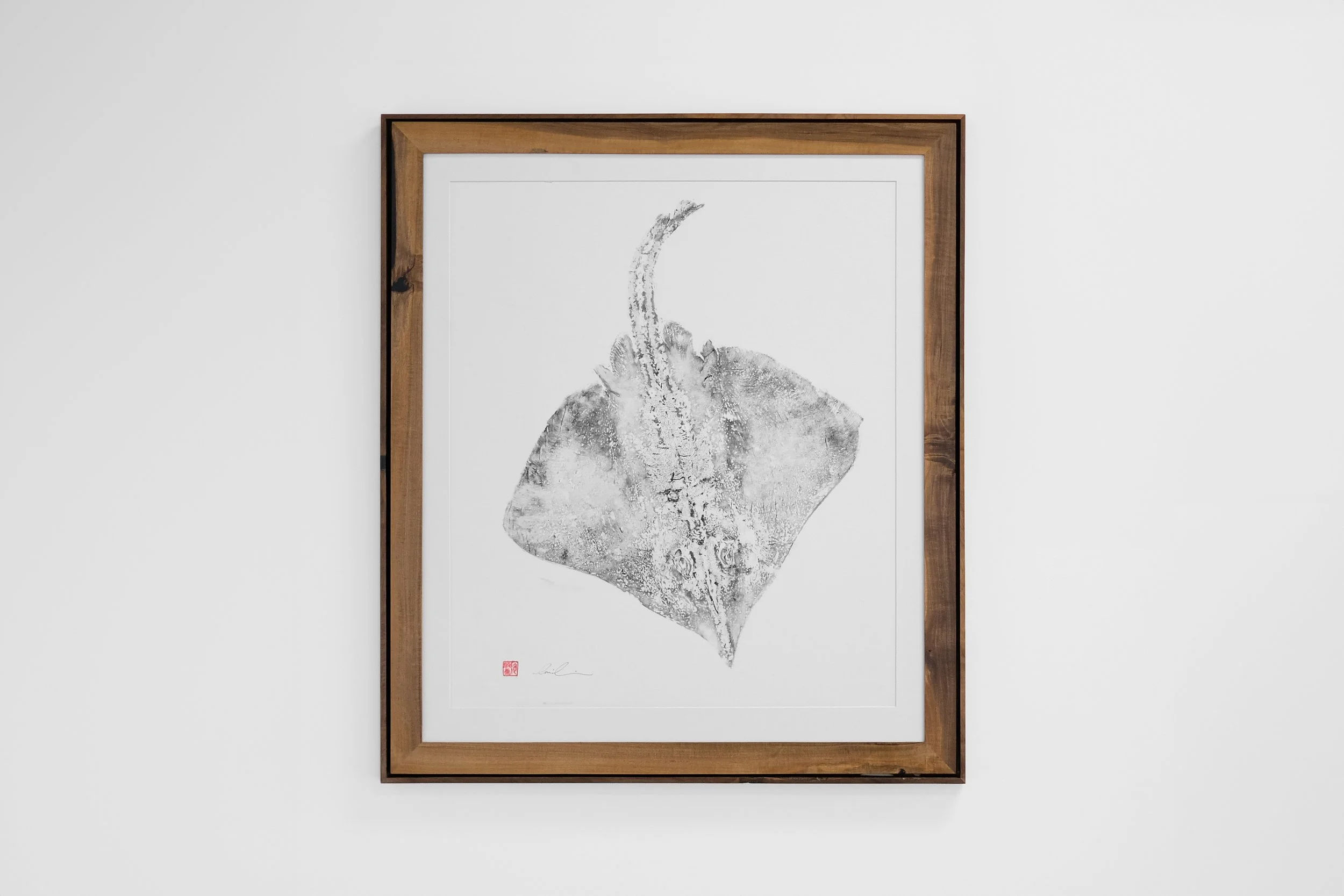 Twentysix Gallery Tim Li - A lasting impression-1002 Uku - Rough Skate.jpg