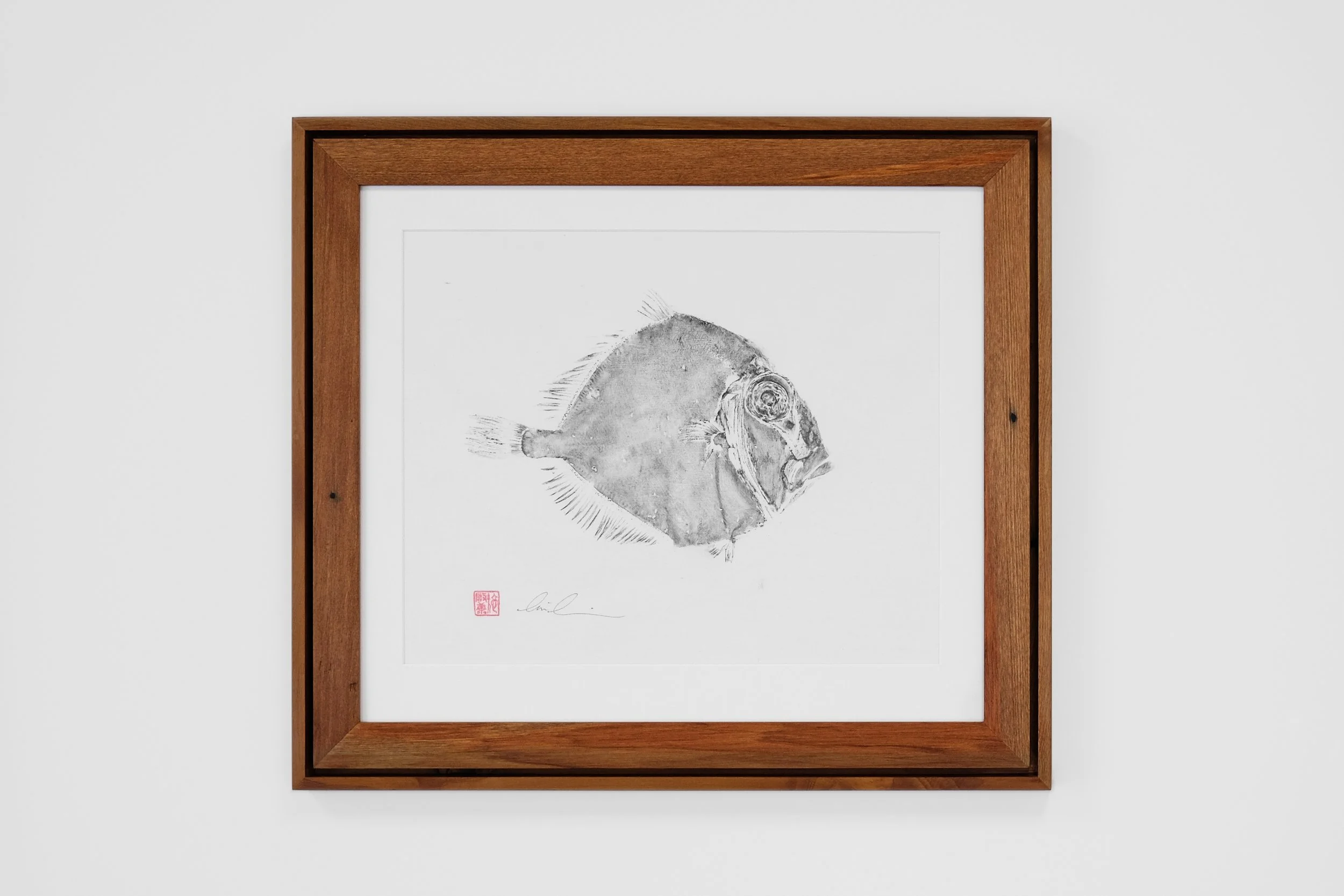 Twentysix Gallery Tim Li - A lasting impression-0998 Lookdown Dory.jpg