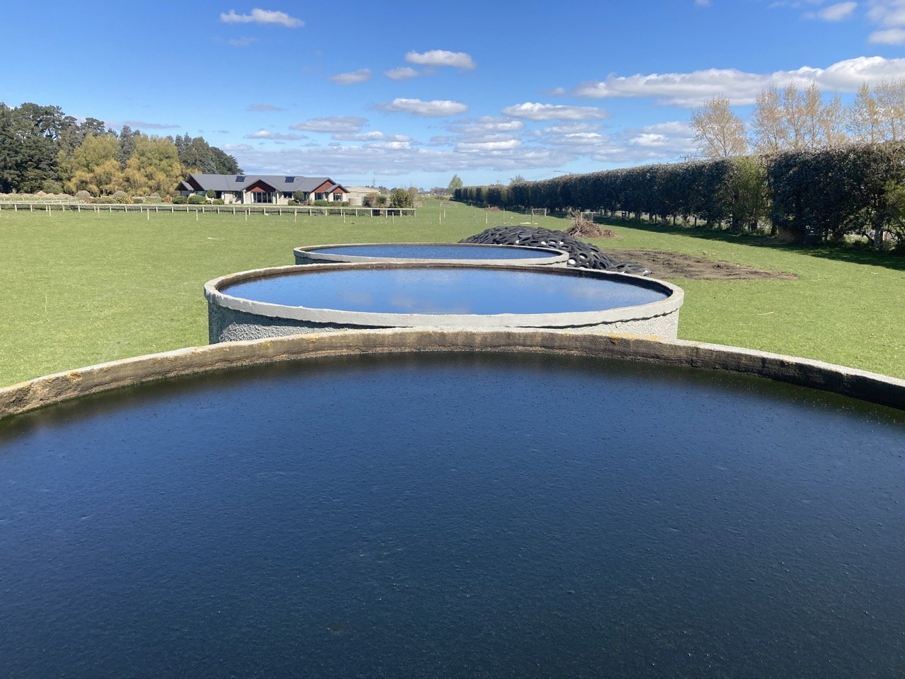 Compost tea... what are the benefits for your garden?