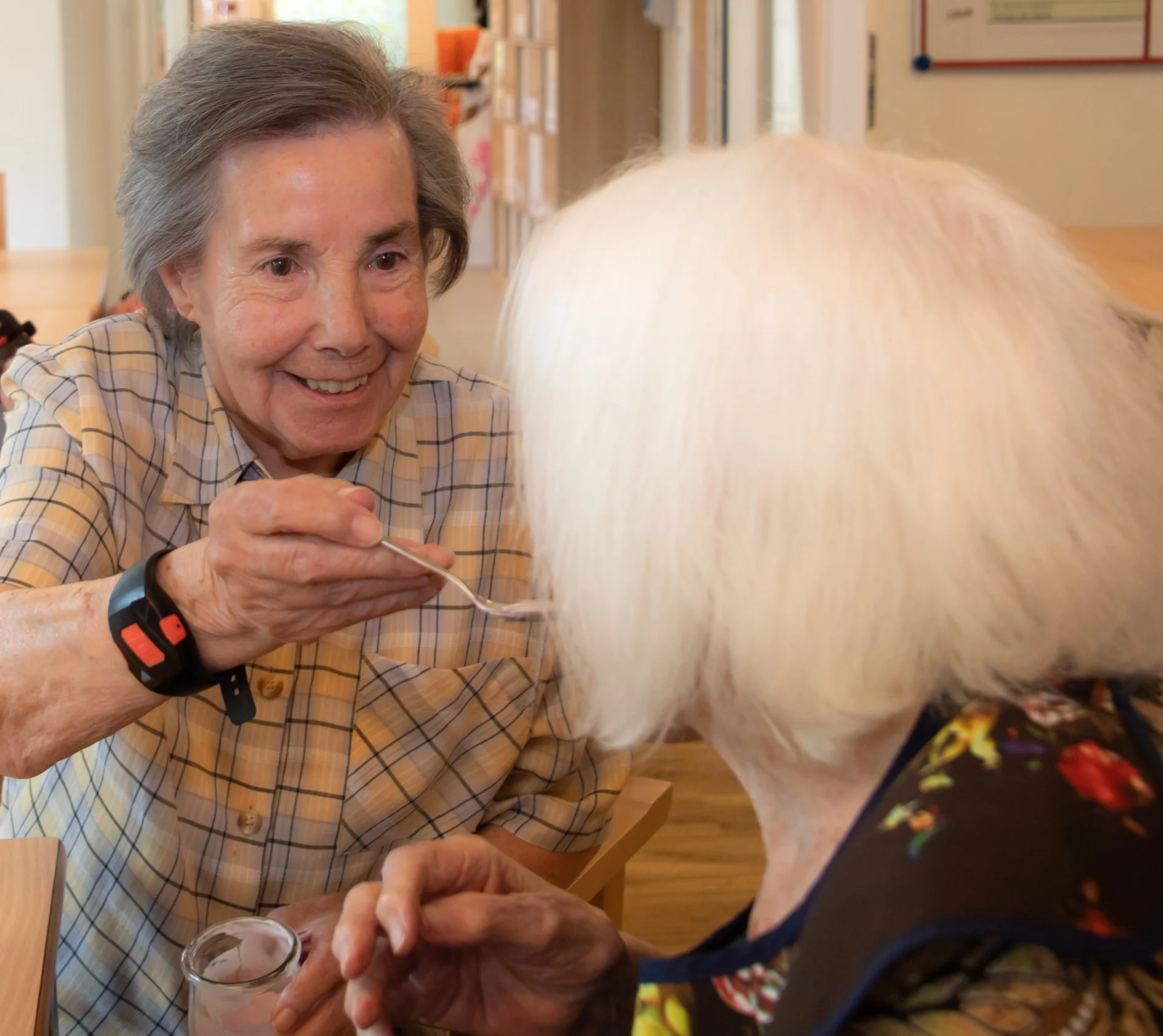 PETIT CHEZARD-253.JPG