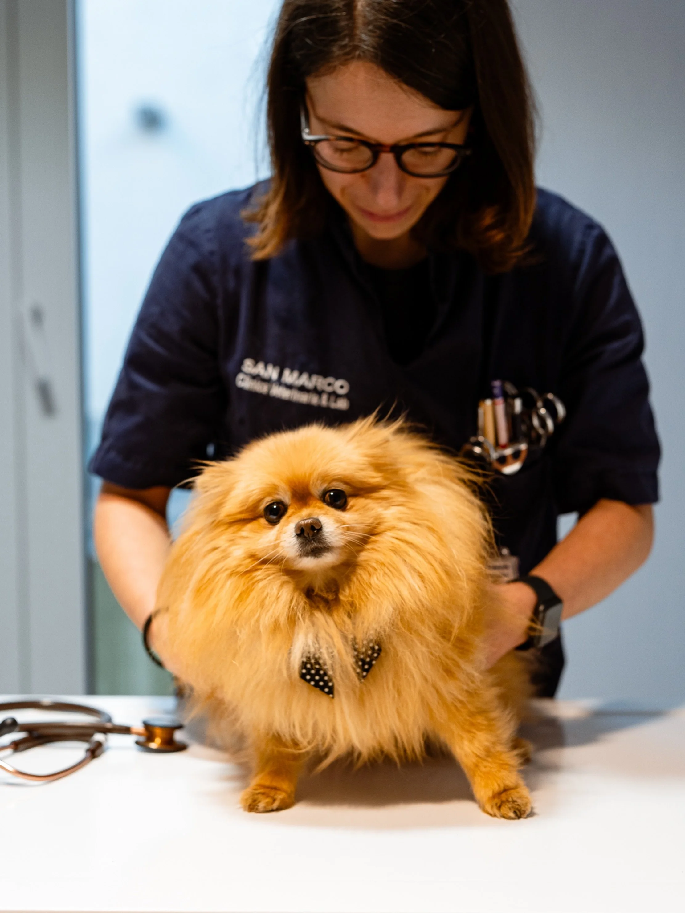 Oggi &egrave; la Giornata Mondiale del Cane. Un&rsquo;occasione per ricordare cosa significhi, concretamente, garantire qualit&agrave; di vita a un paziente che non pu&ograve; descrivere ci&ograve; che prova.

Postura, mobilit&agrave;, comportamento,