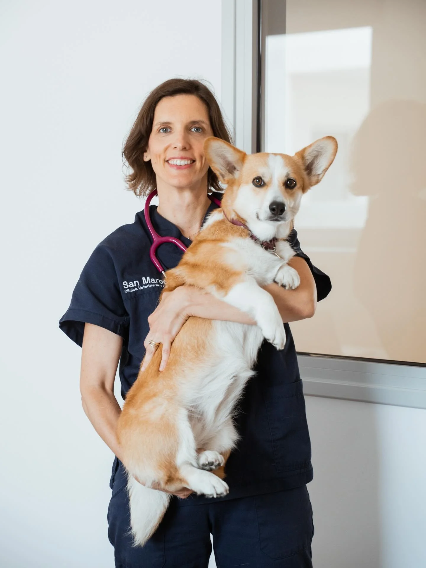 La visione One Health ci ricorda che la salute delle persone e quella degli animali sono inseparabili. La ricerca lo conferma anche nei dettagli quotidiani: la presenza del proprio cane mentre si lavora, riduce lo stress, migliora l&rsquo;umore e raf