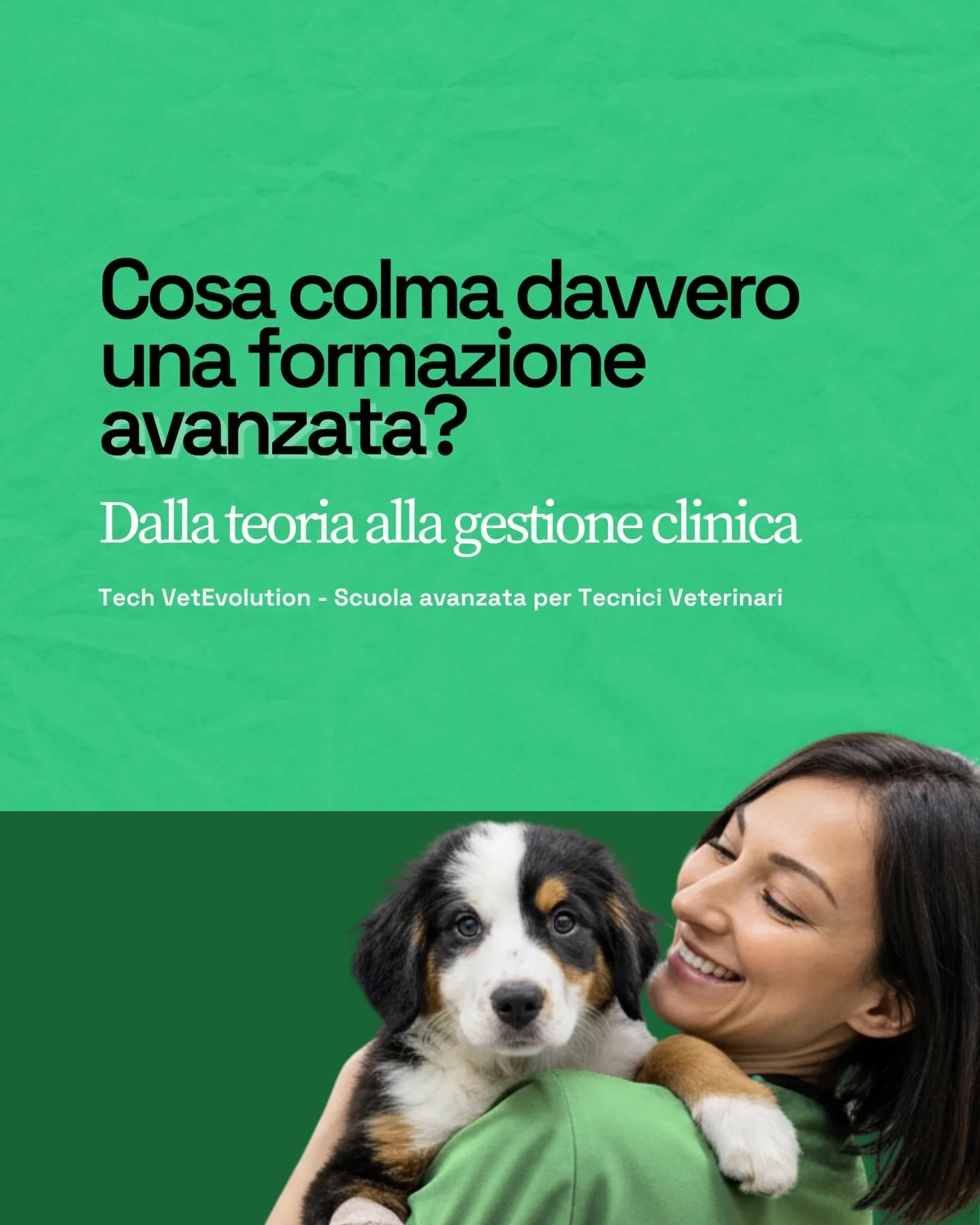 Tech VetEvolution &egrave; un percorso avanzato strutturato su 4 aree specialistiche.

Iscrivendoti, scegli una delle 4 aree e approfondisci in modo concreto e operativo un ambito clinico specifico.

Non &egrave; una panoramica. &Egrave; un percorso 