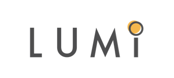 Lumi - Workday Support