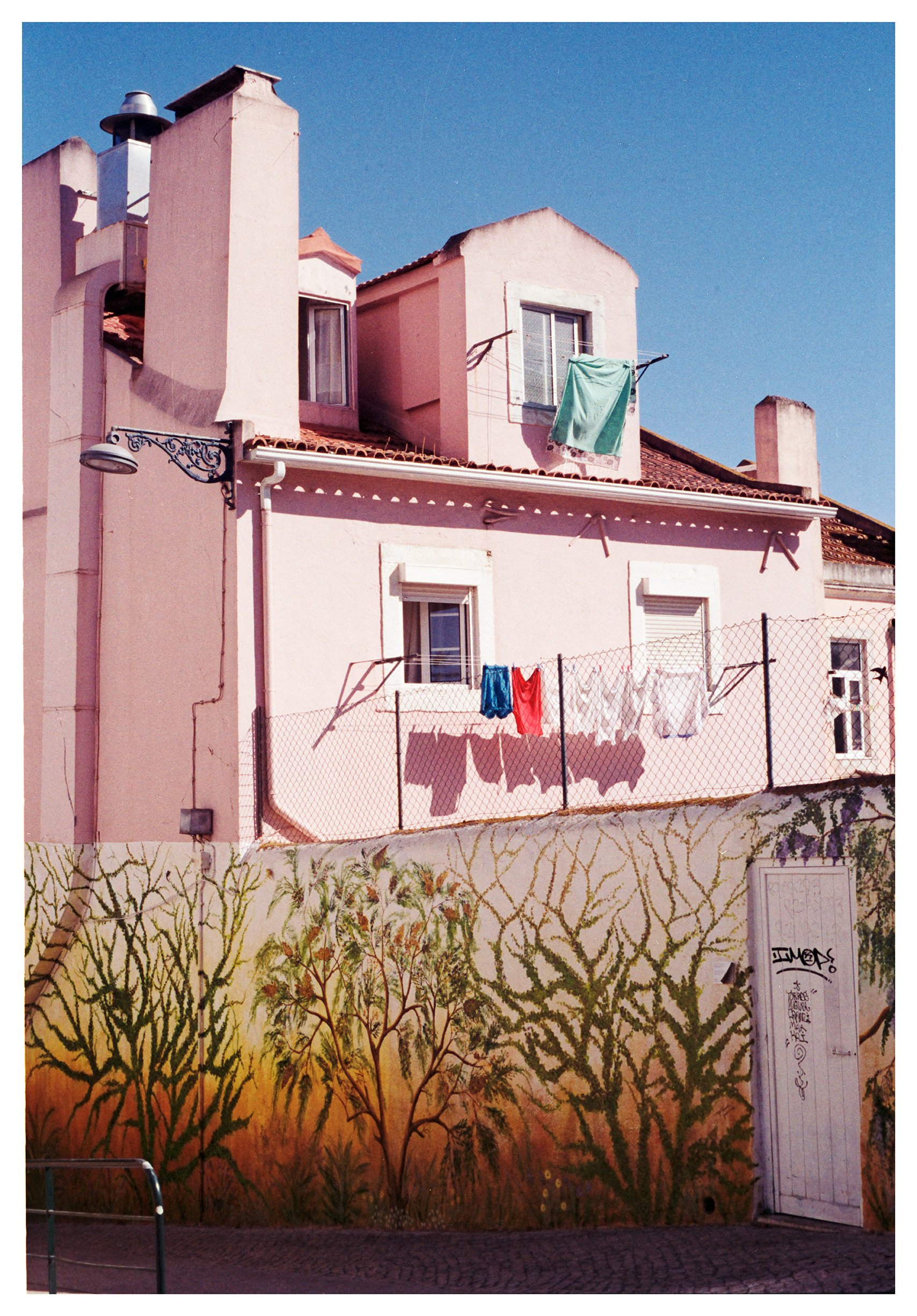 Alice Browne Still Moving 11 low res.jpg