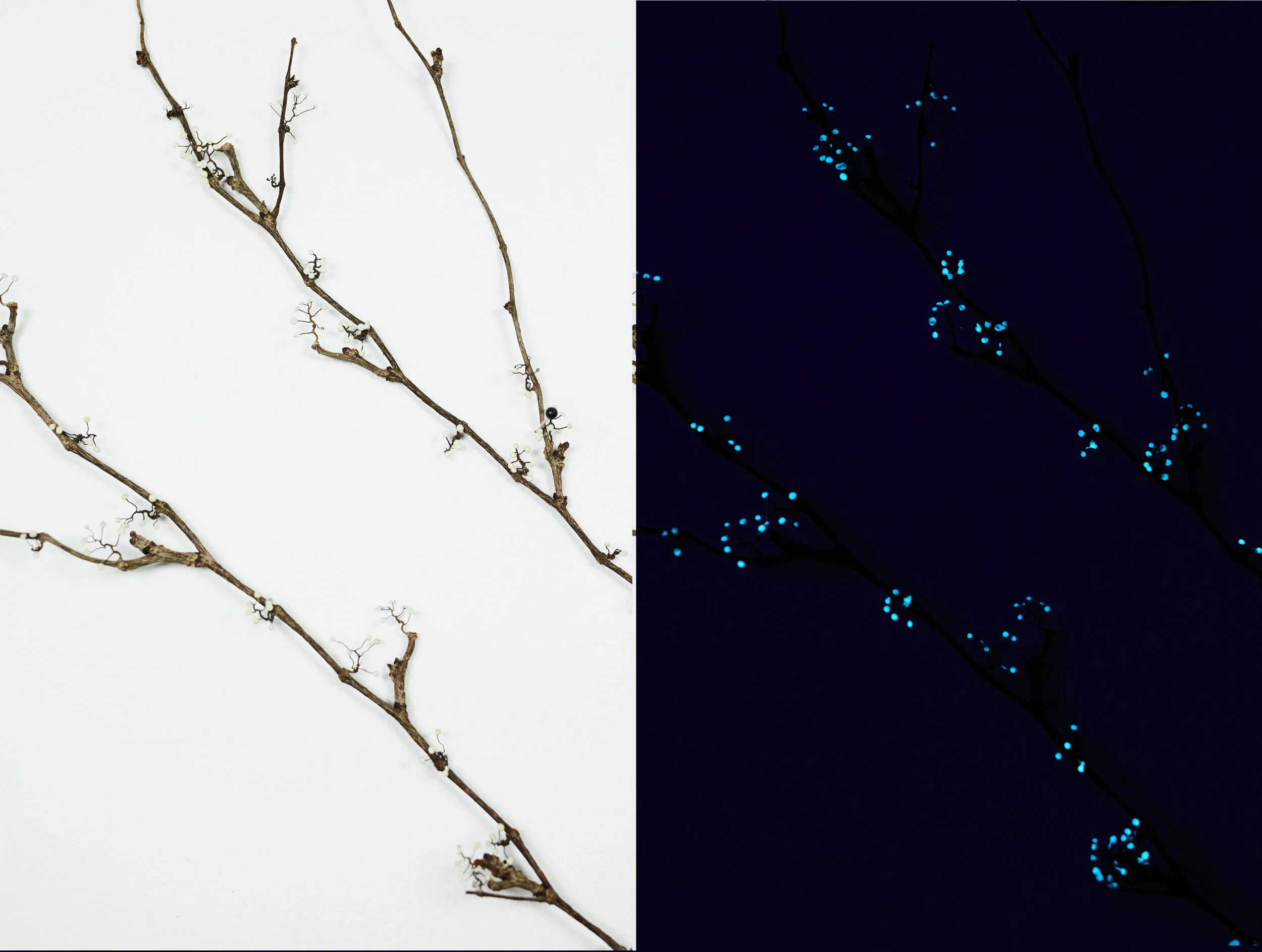 _96A2052julie navarro constellations 04-2021.jpg