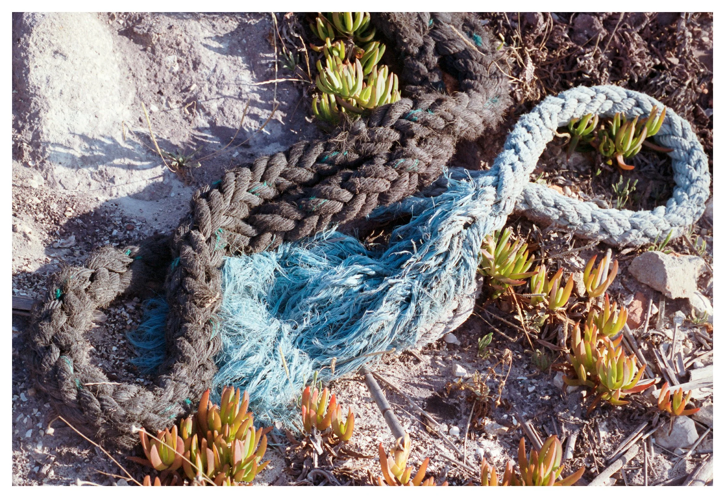 Alice Browne Still Moving 7 low res.jpg