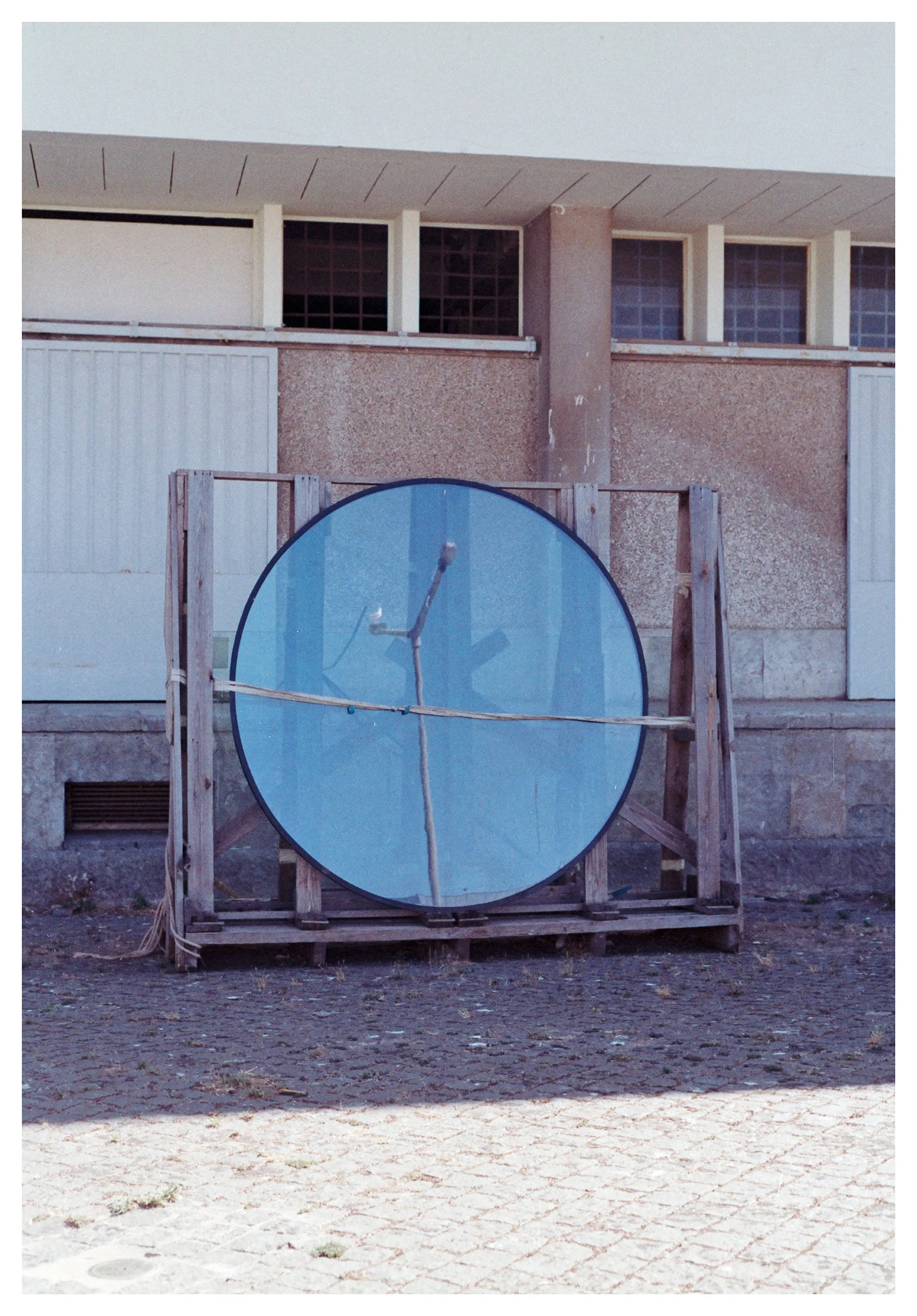 Alice Browne Still Moving 9 low res.jpg