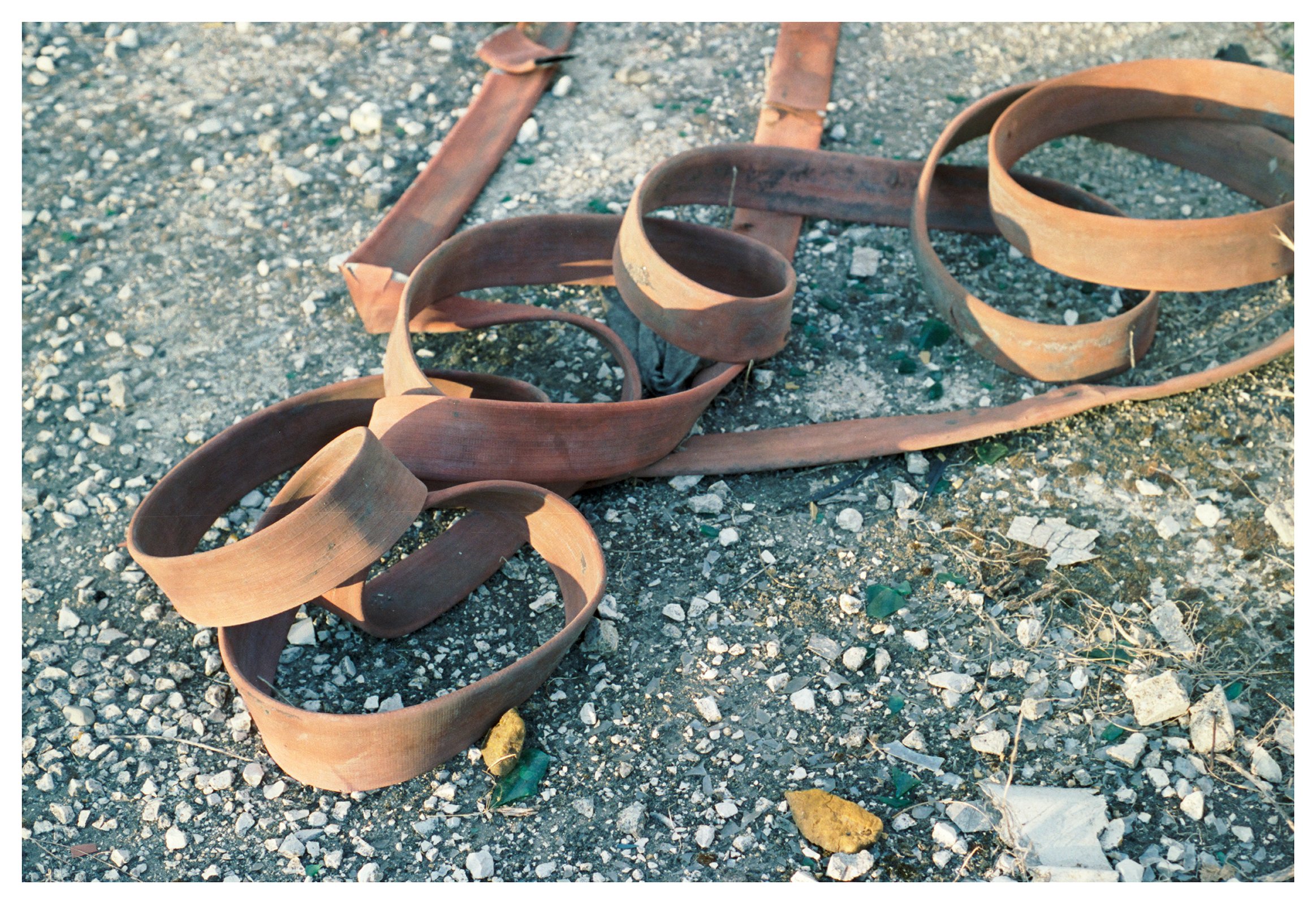 Alice Browne Still Moving 2 low res.jpg