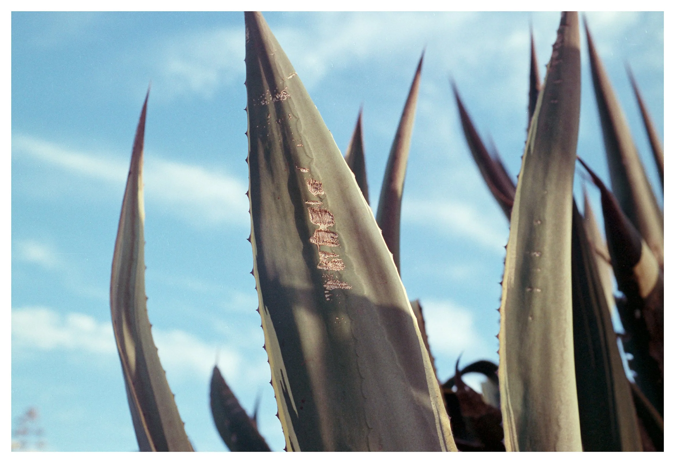 Alice Browne Still Moving 5 low res.jpg