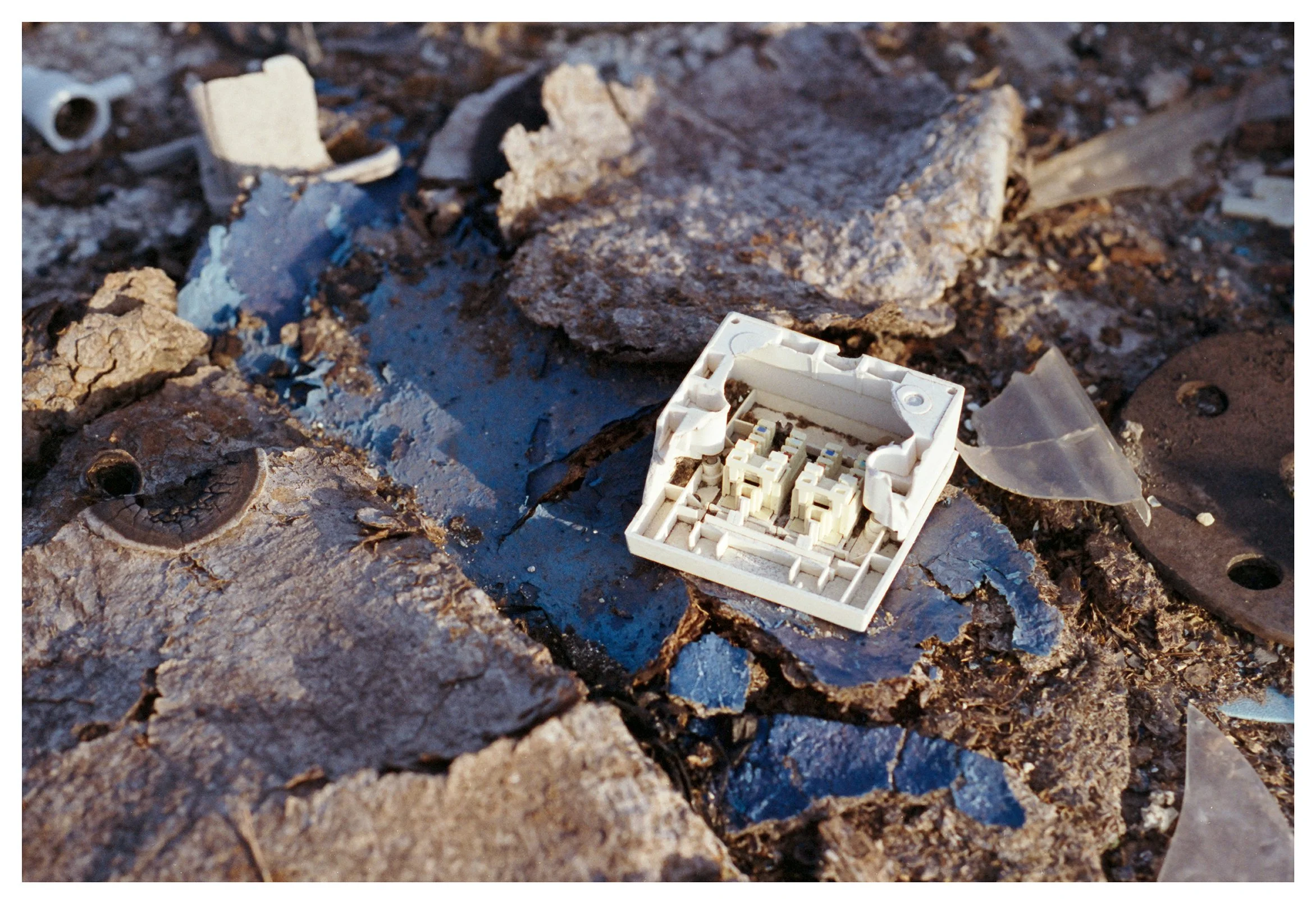 Alice Browne Still moving 4 low res.jpg