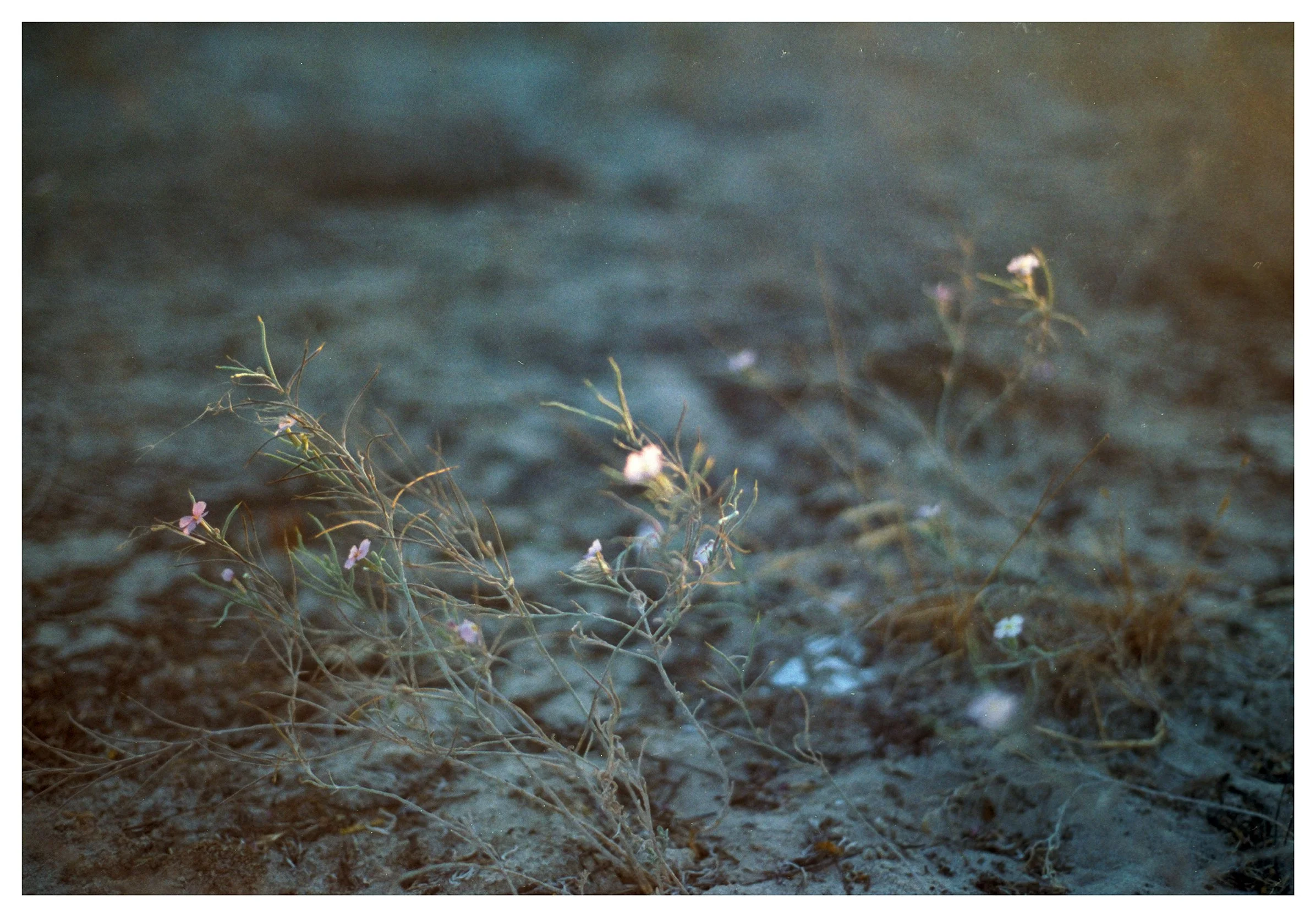 Alice Browne Still Moving 12 low res.jpg