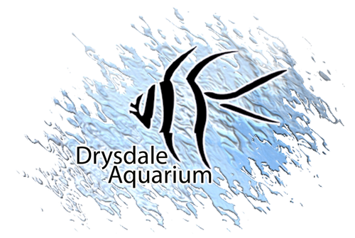 Drysdale Aquarium logo