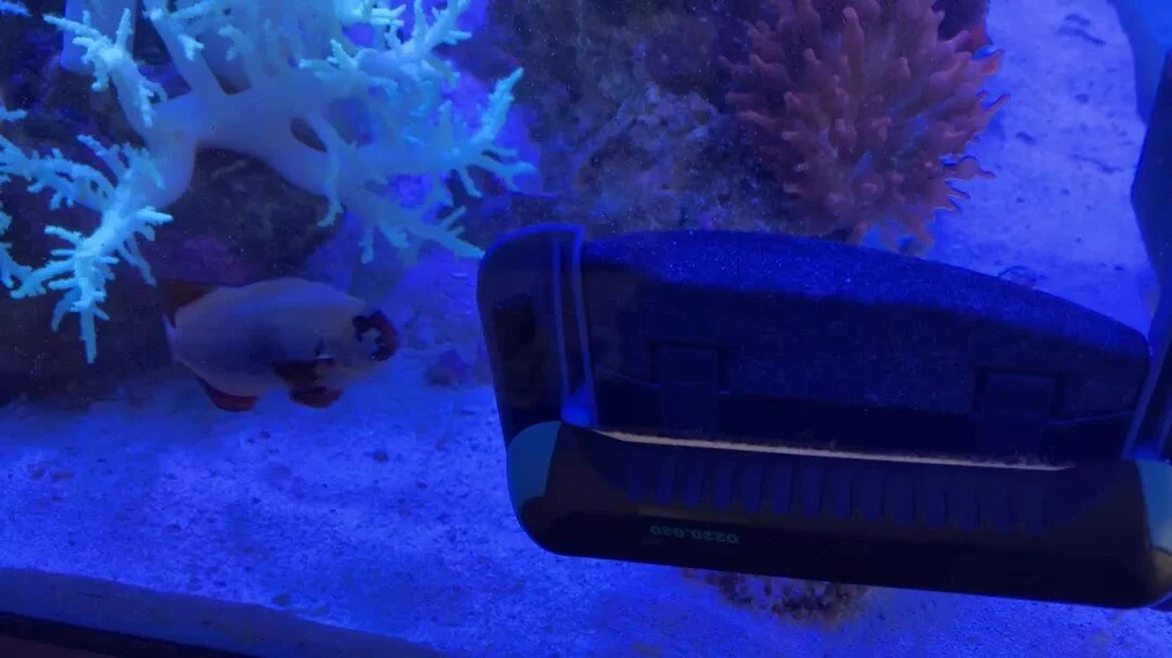 Photos — Drysdale Aquarium, Inc