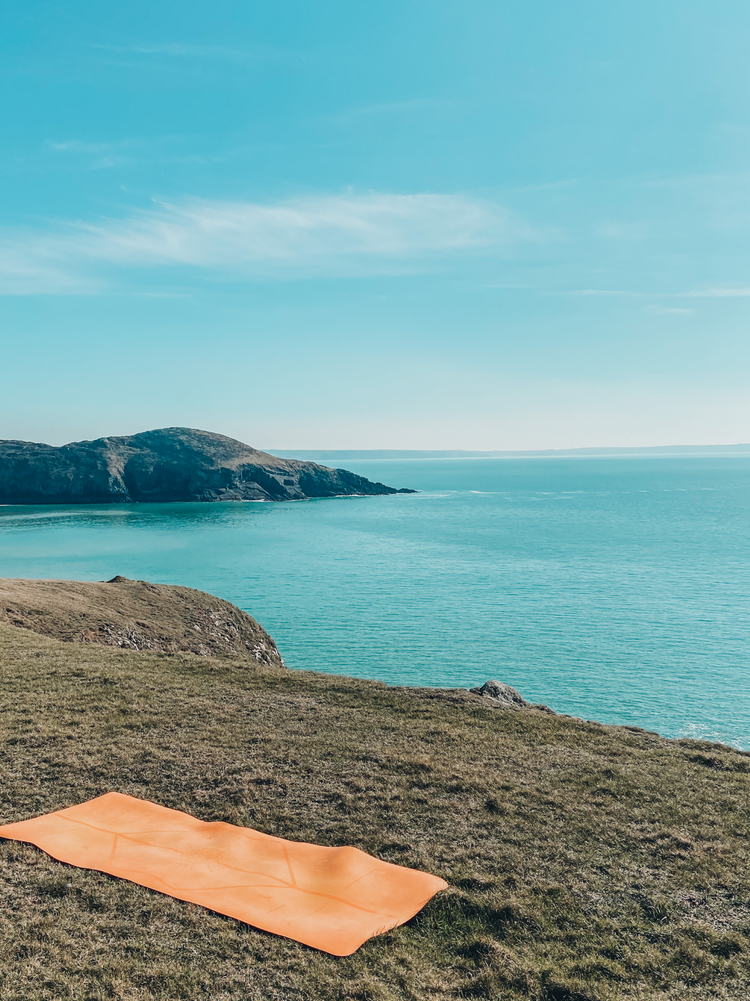 Wild Yoga Studio