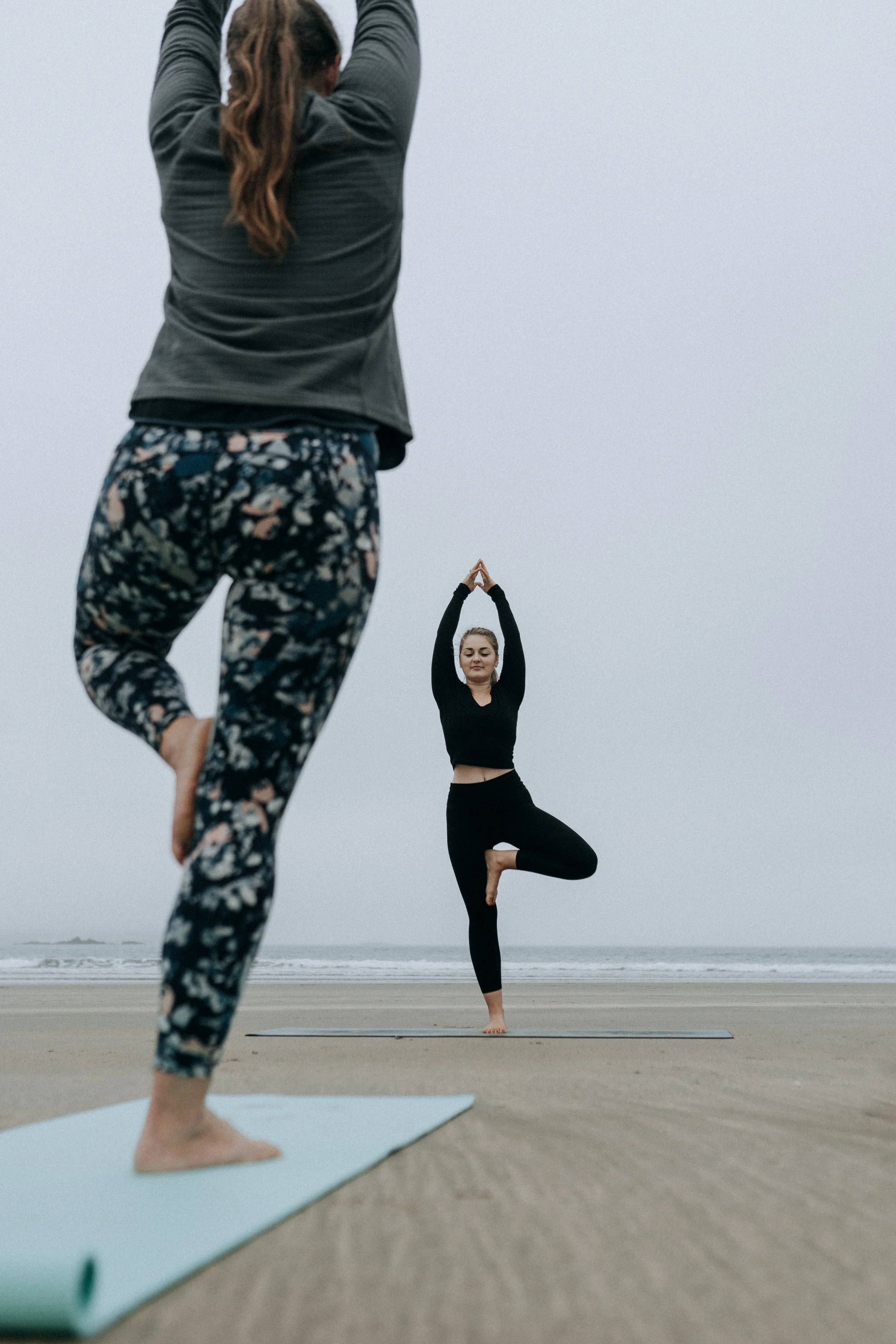 Wild Yoga Studio