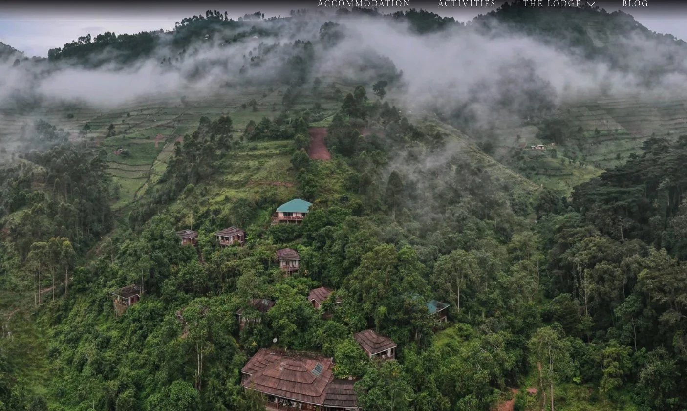 Four Gorillas Lodge.jpg